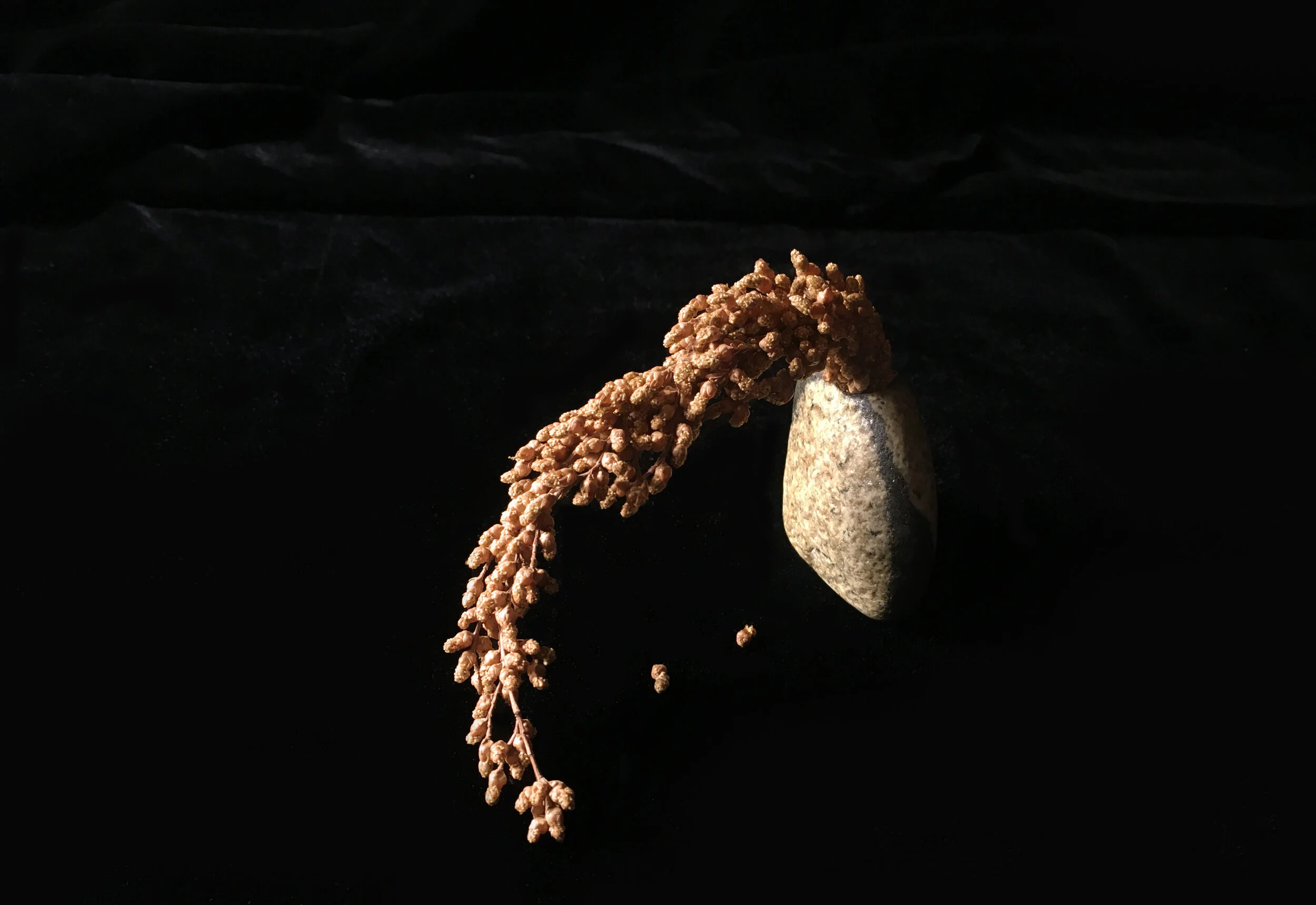 Golden Cascade Archivally printed photograph 16” x 20” Click image to enlarge ⦿ Inquire