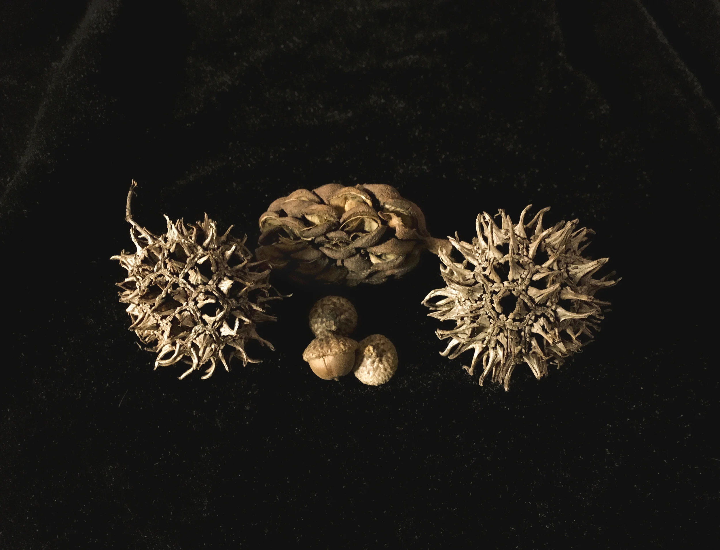 Mysteries Archivally printed photograph 16” x 20” Click image to enlarge ⦿ Inquire