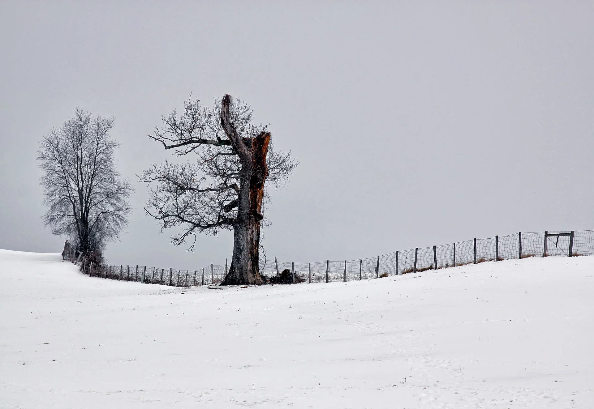 Rappahannock County, Va. Gary Anthes Archival photograph Edition of 6, signed and numbered in margin  12 7/10 x 18 1/2 in. (unframed) Click image to enlarge ⦿ Inquire