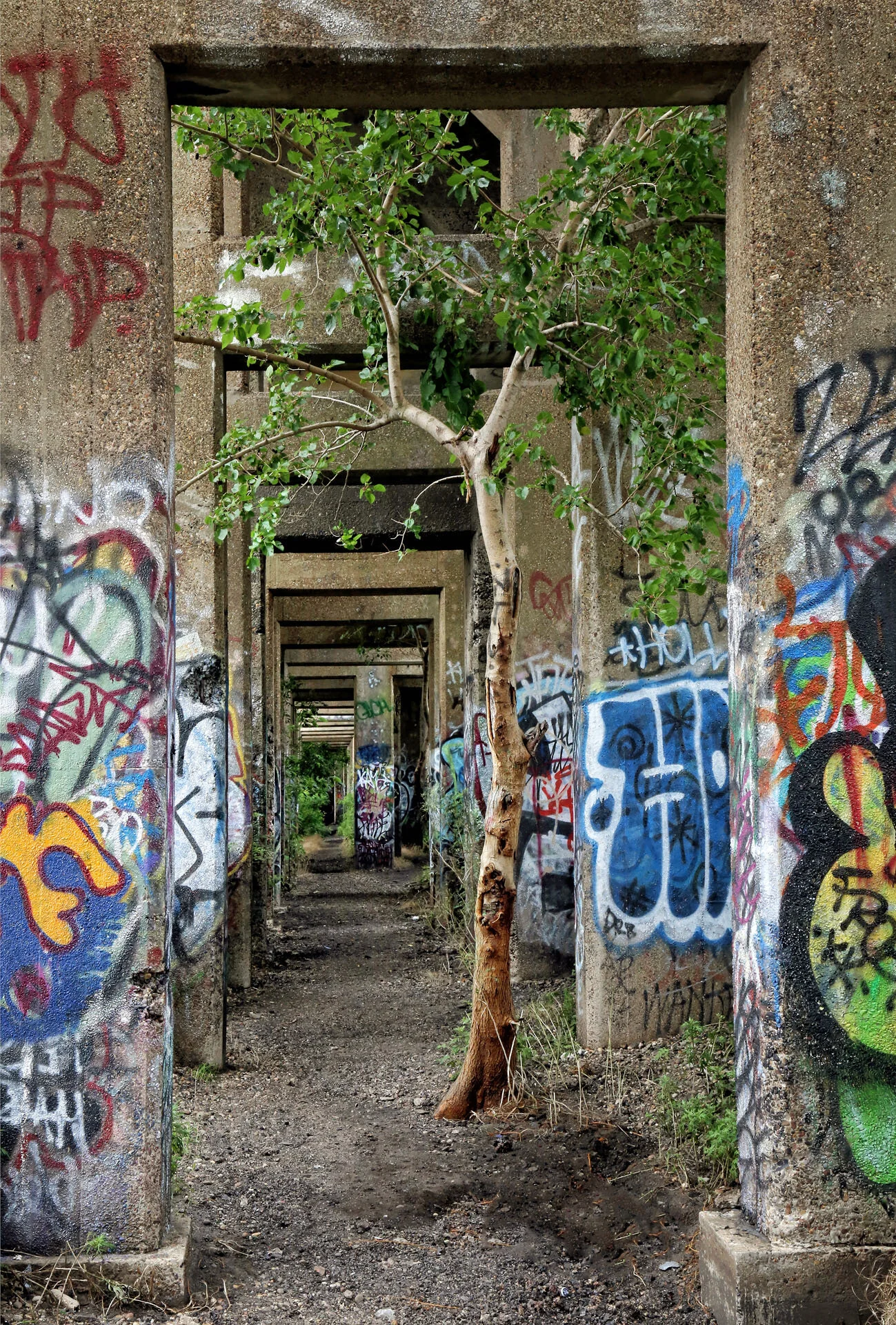 Coal Pier 18, Philadelphia Gary Anthes Archival photograph Edition of 6, signed and numbered in margin  11 1/2 x 17 in. (unframed) Click image to enlarge ⦿ Inquire