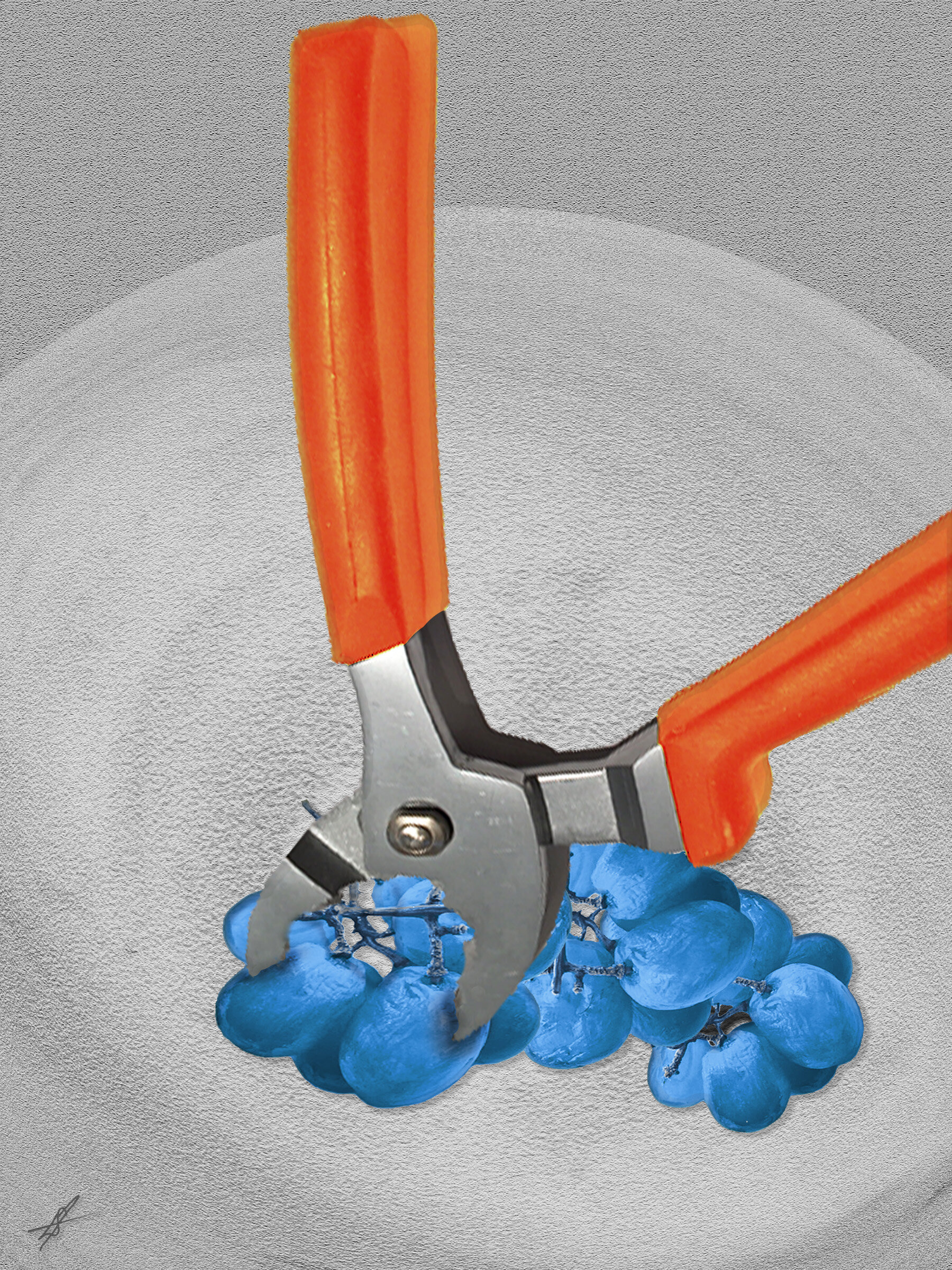 Fraught Fruit - Pliered Langley Spurlock Digital Photocollage Direct Impression Print [edition of 5] on Aluminum 16 x 12 in. $275 each Multiples $250 each Click image to enlarge ⦿ Inquire