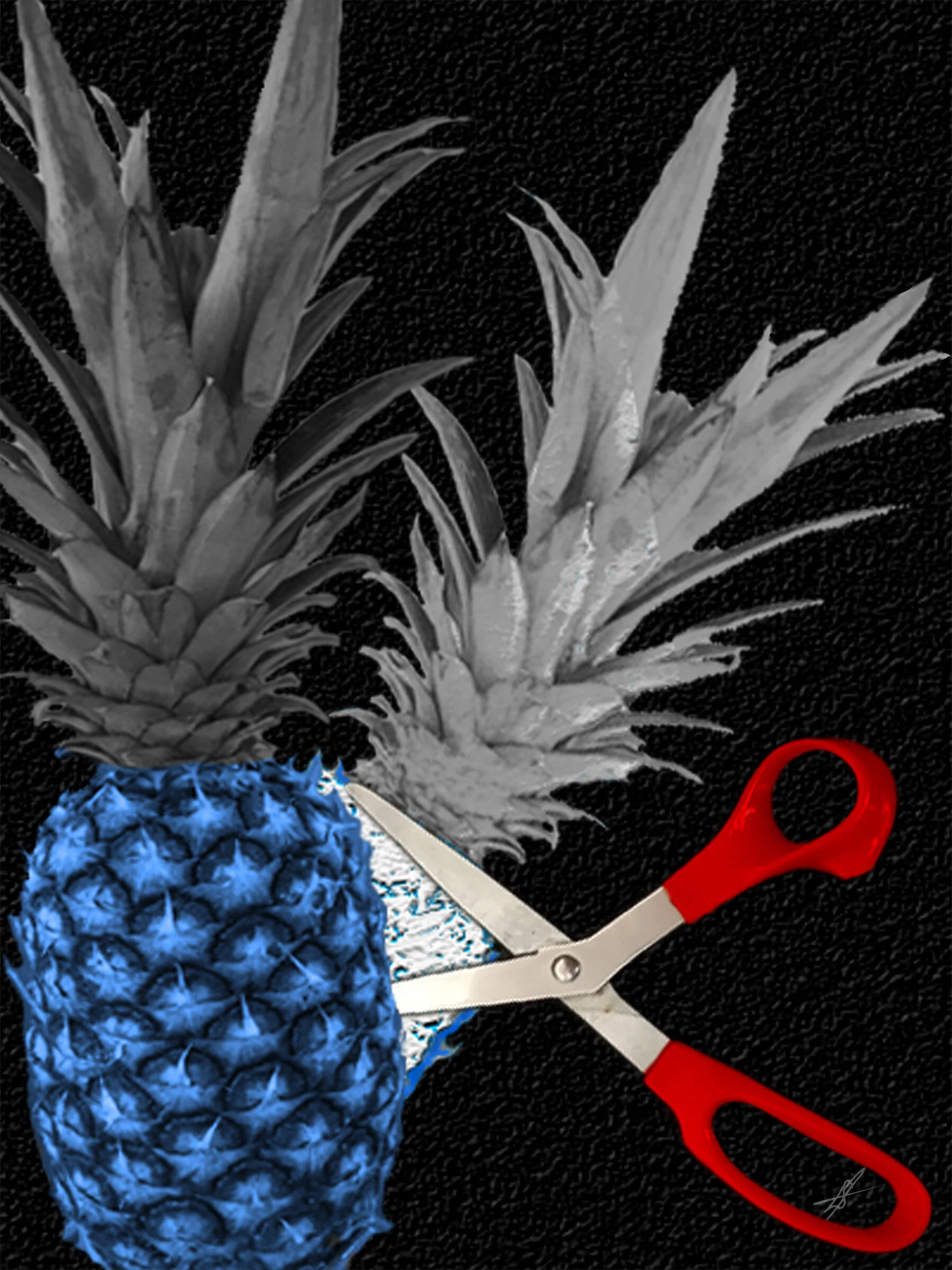 Fraught Fruit - Scissored Langley Spurlock Digital Photocollage Direct Impression Print [edition of 5] on Aluminum 16 x 12 in. $275 each Multiples $250 each Click image to enlarge ⦿ Inquire