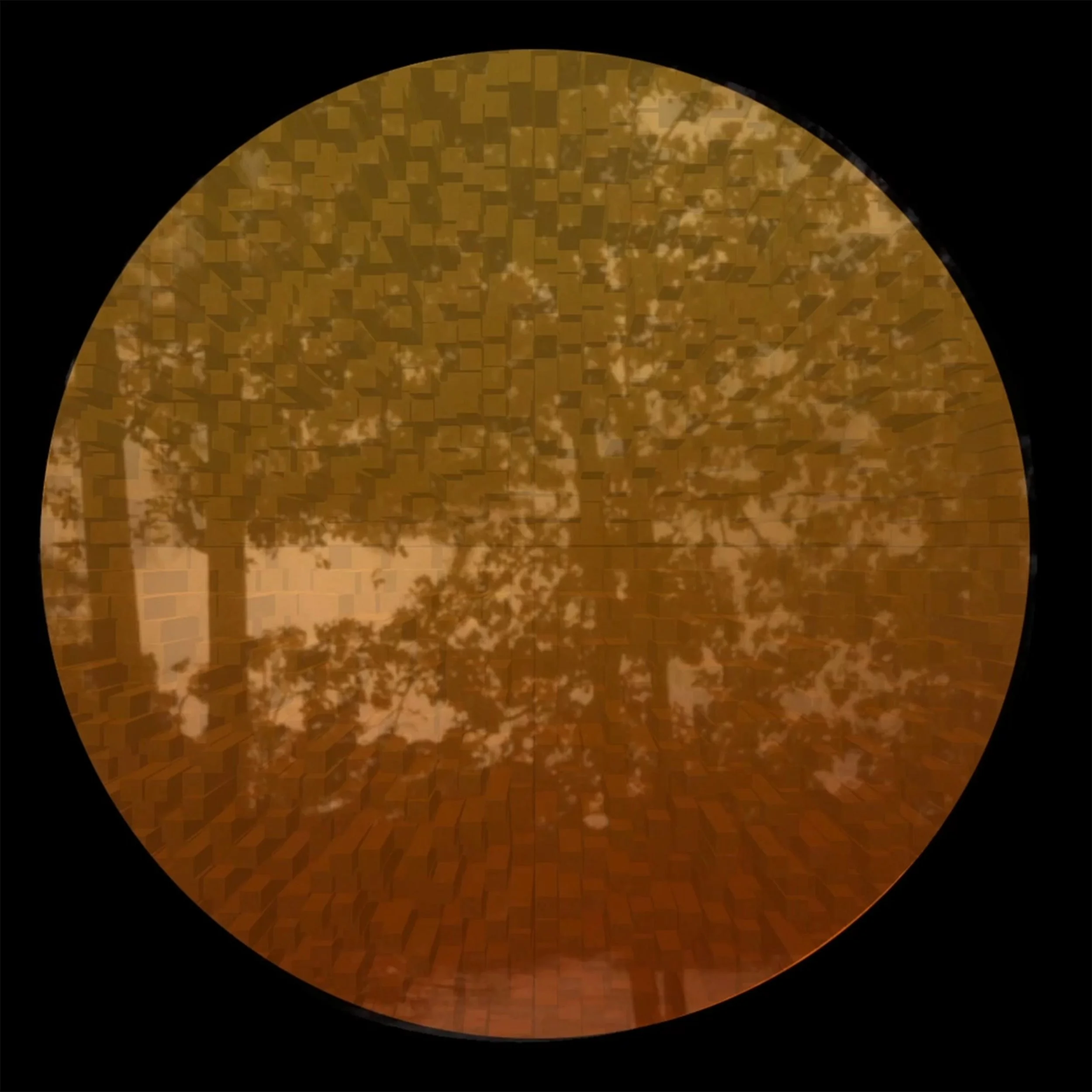 4. Lynda Andrews-Barry Sun_Storm.jpg