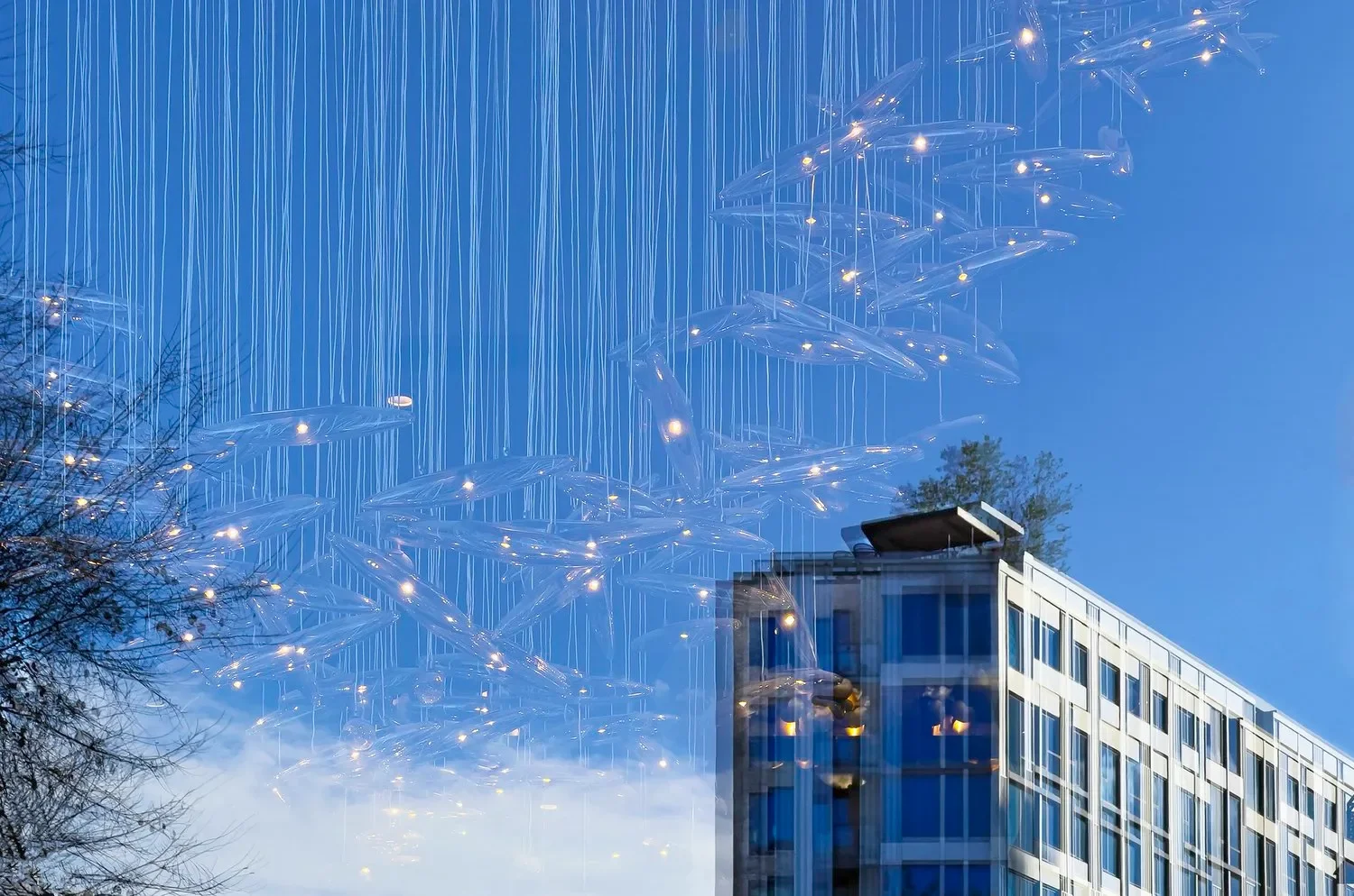 In Washington City Paper:  Jo Levine