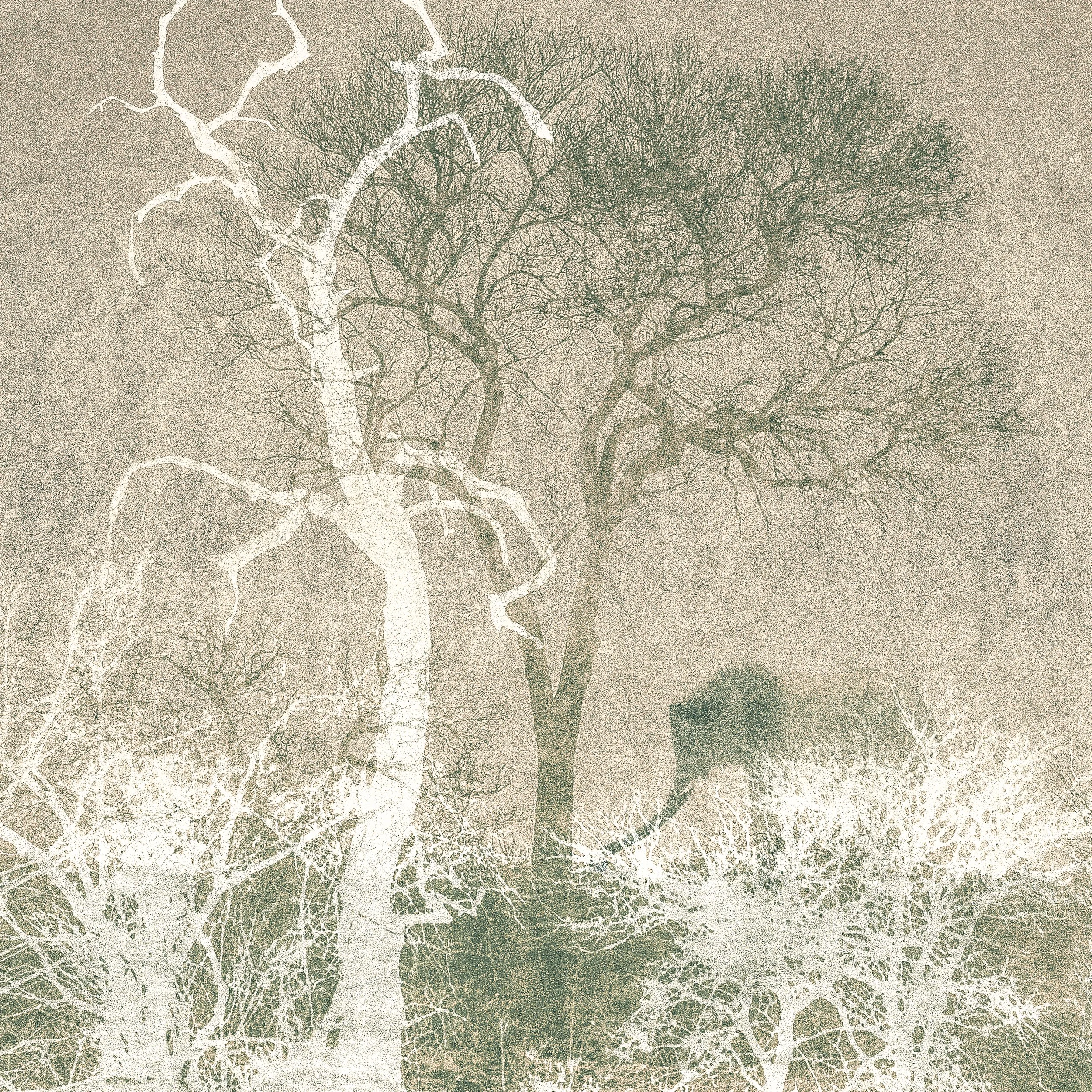 trace 1 by judy bonderman.jpg