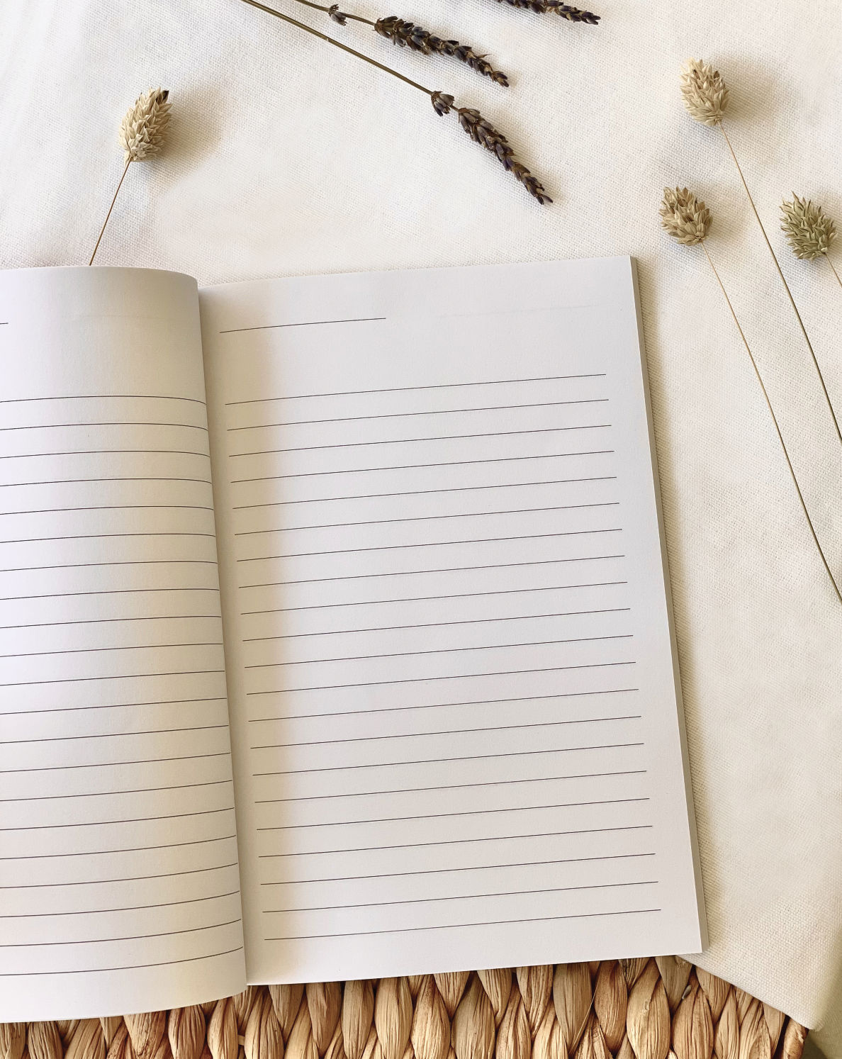 Screen Shot 2021-09-21 at 9.04.26 AM.png