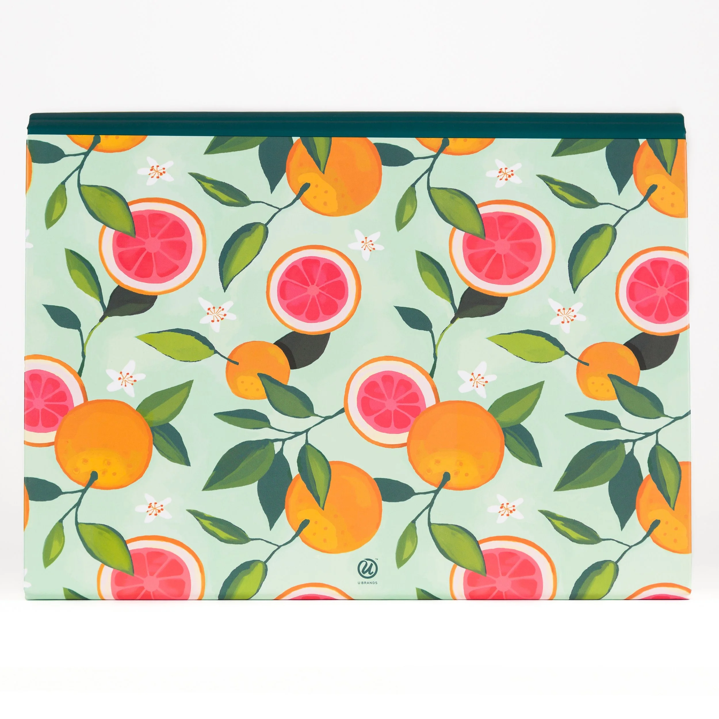 4630W_13pktFilingCitrus-4.jpg