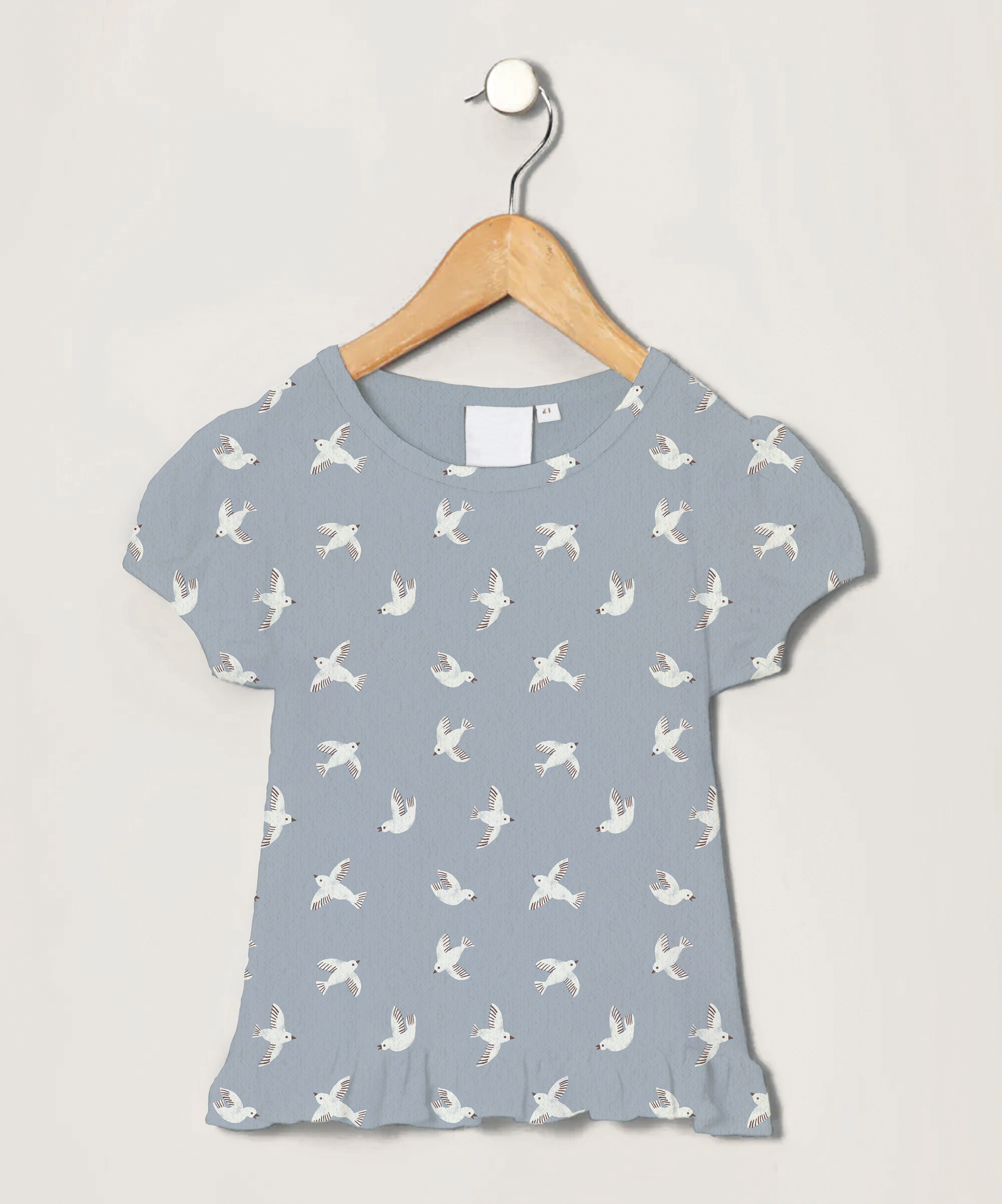 RC_Birds_ProductApplication (1).png