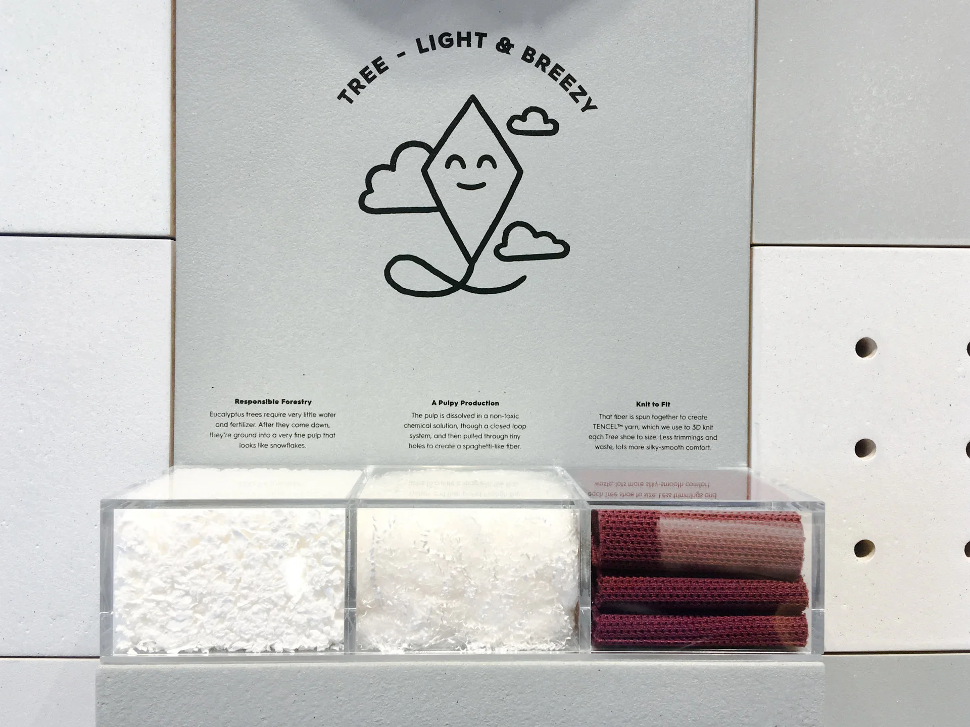 AllBirds_Store3.jpg