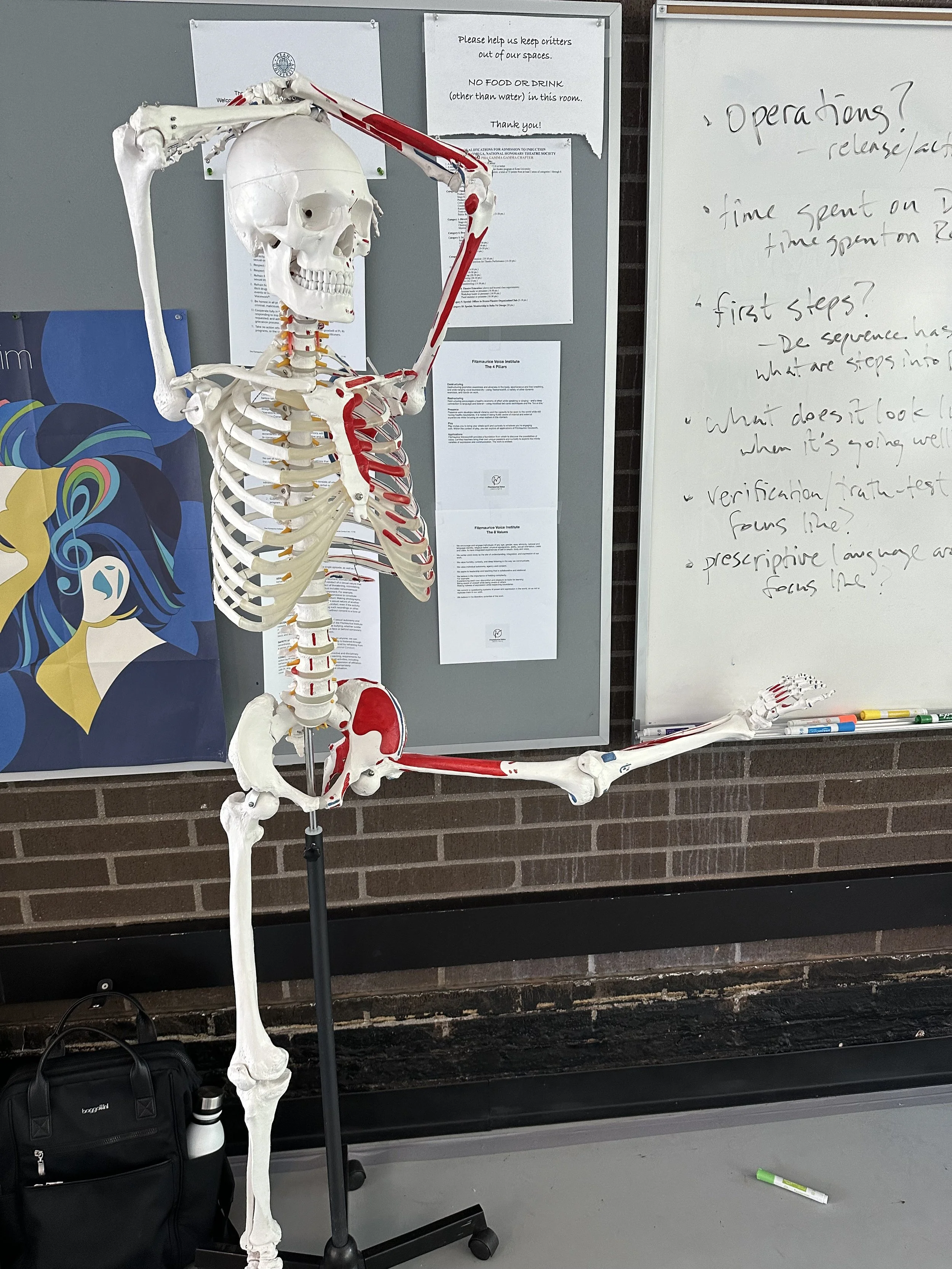 Yorick Stretching
