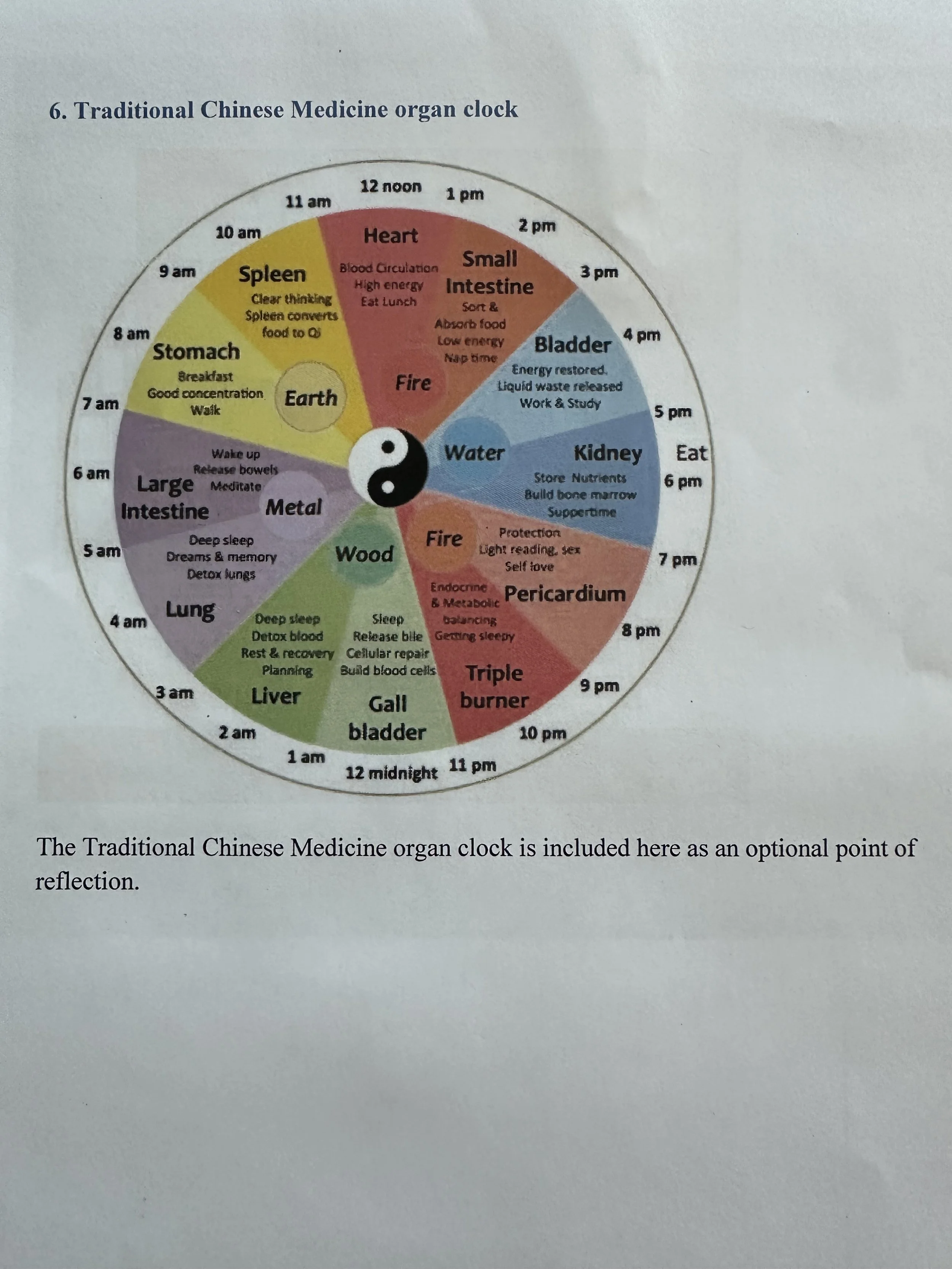 Abdominal Clock 