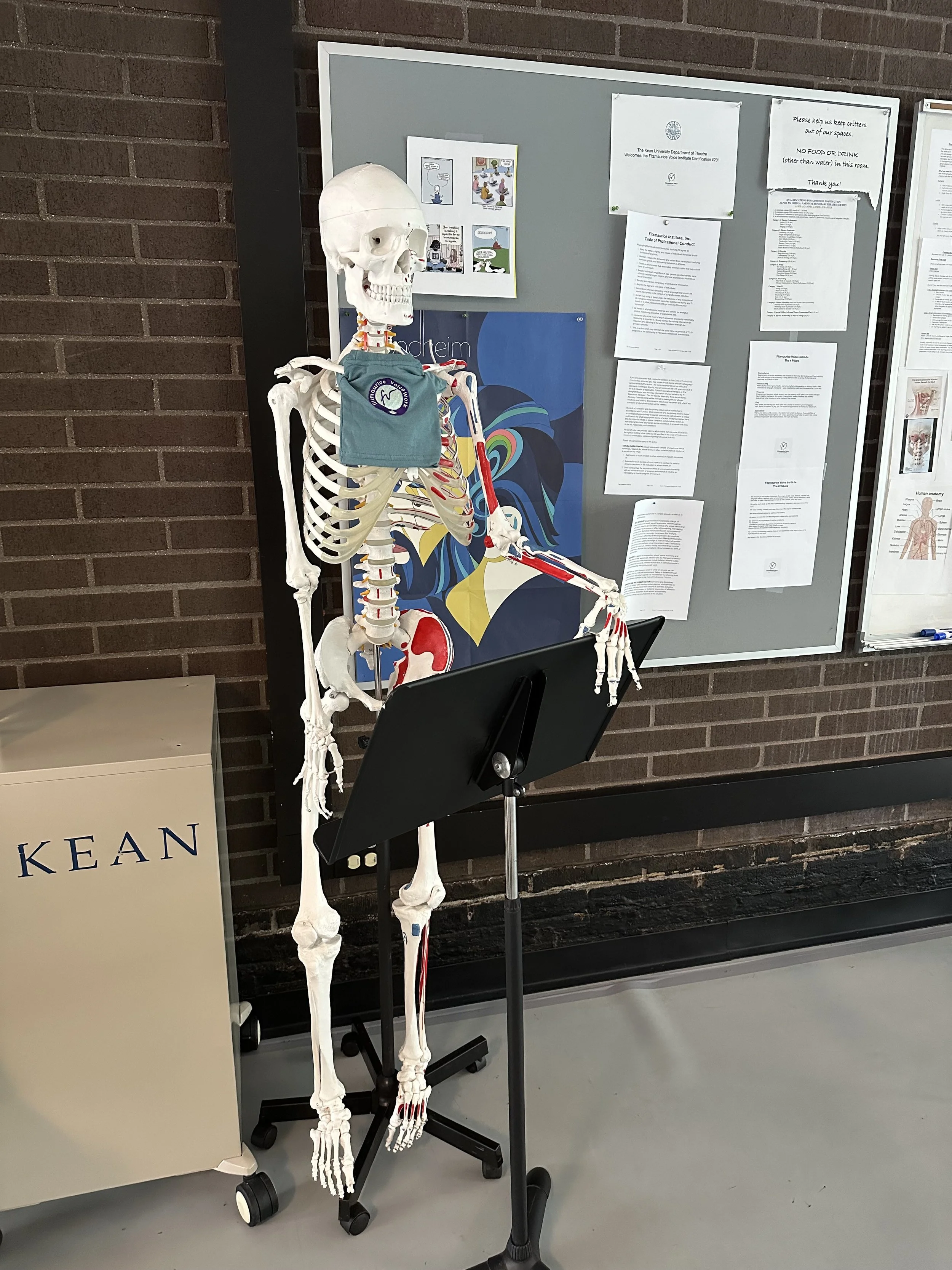 Yorick Lecturing