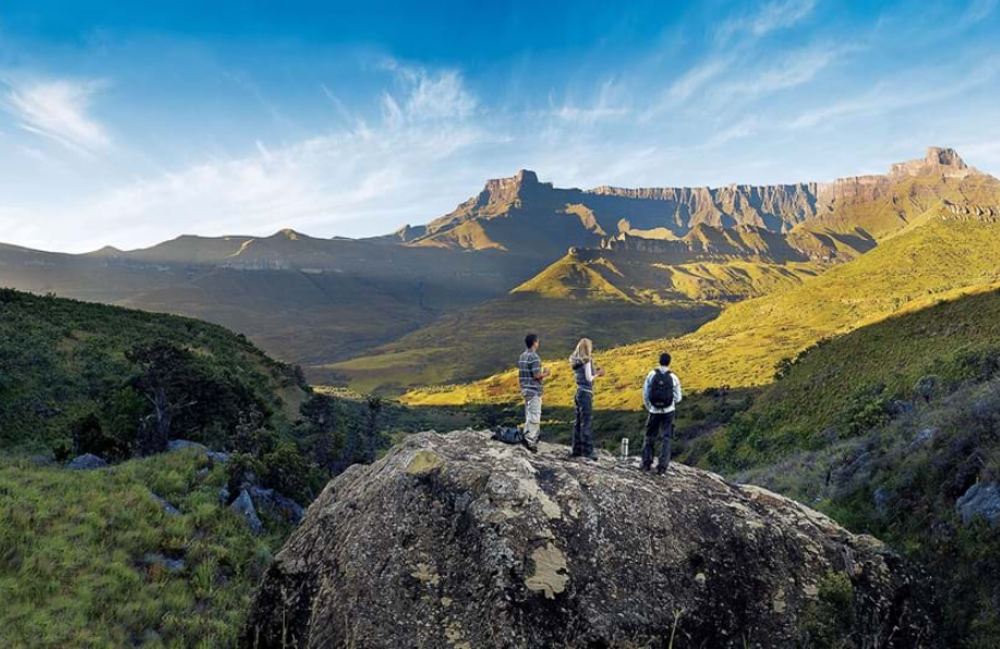 South African Landscpe