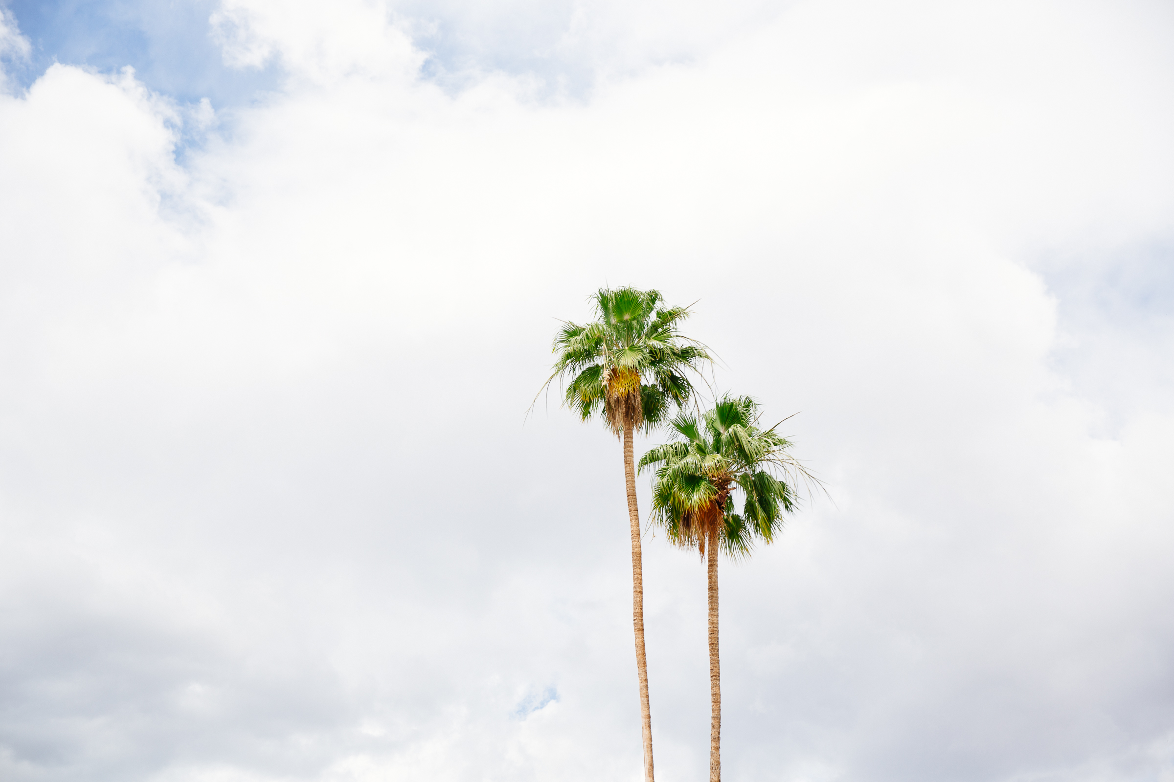 Joshua Tree