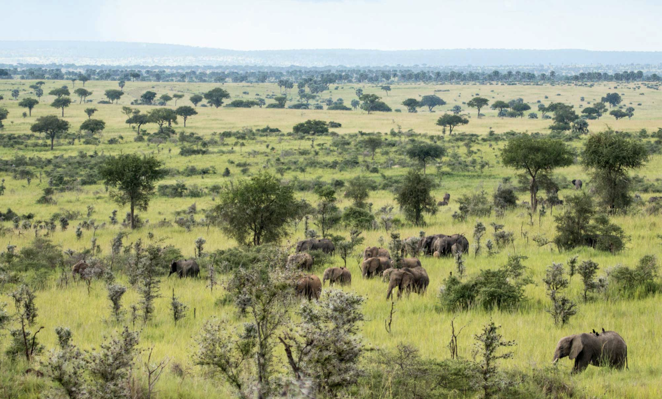 Screen Shot 2022-09-25 at 1.29.45 PM.png