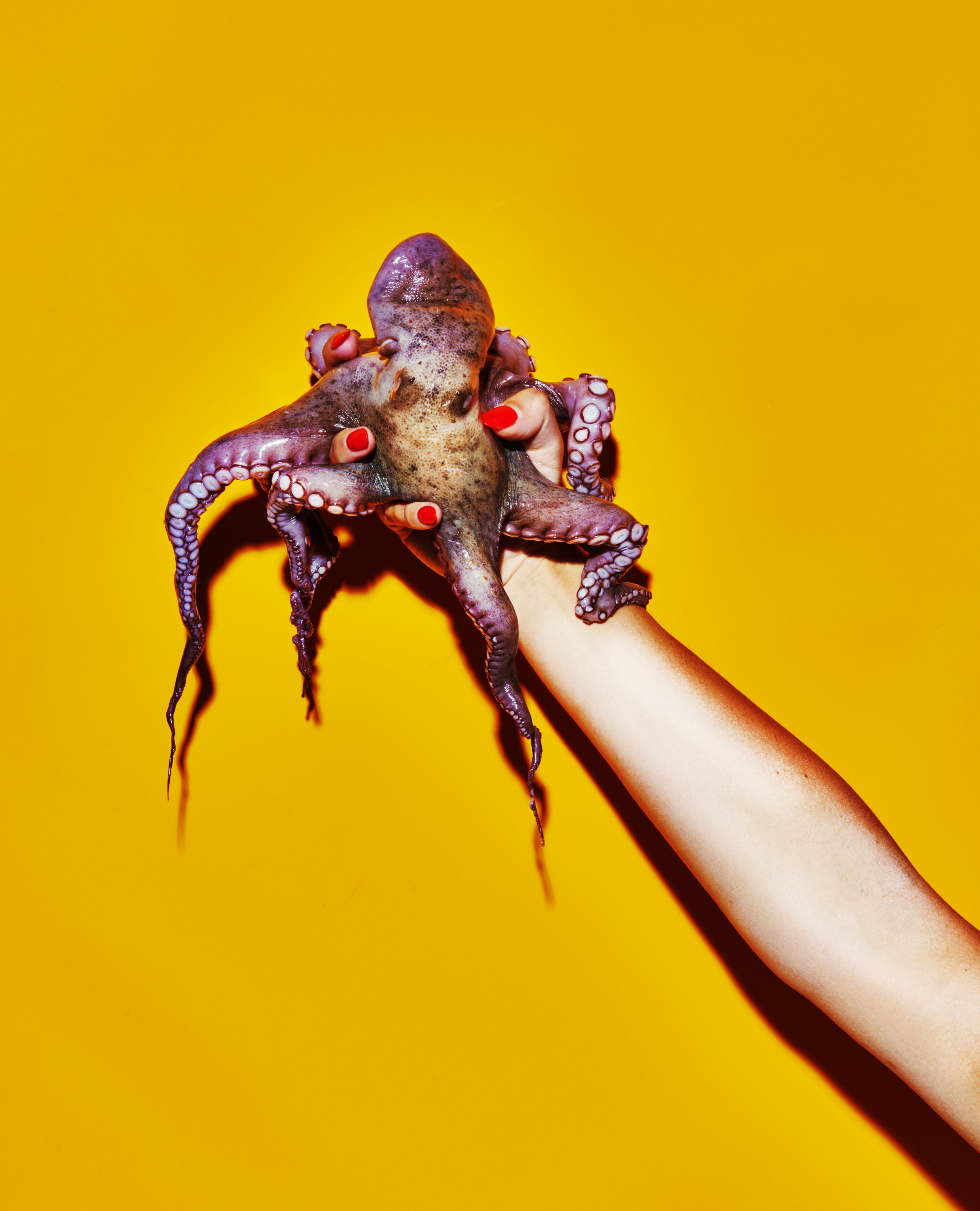 Whitney & Octopus.jpg