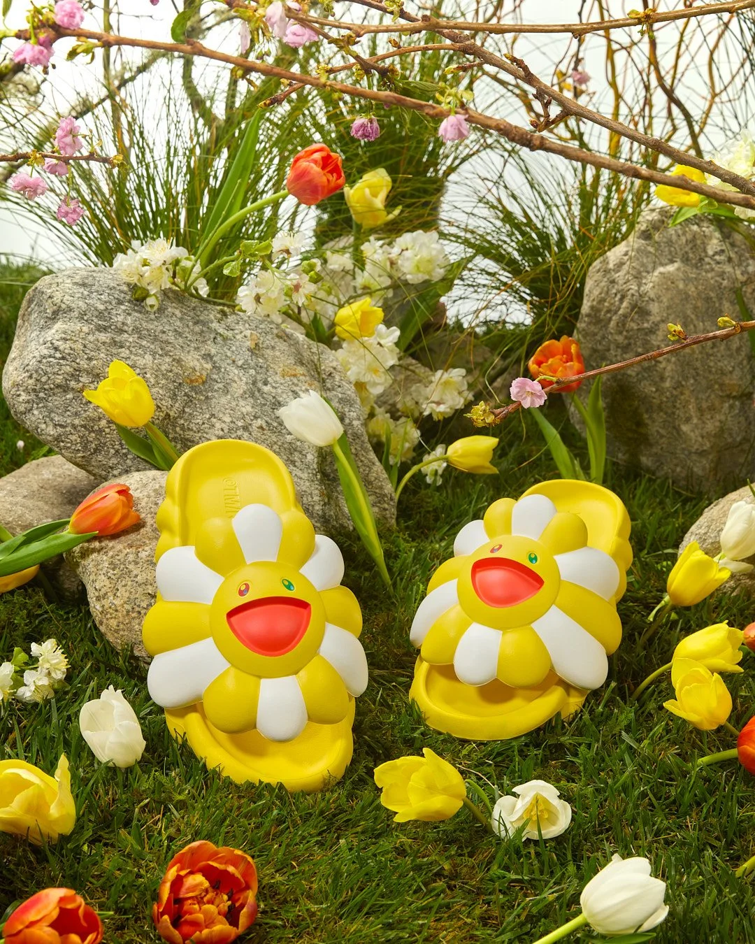 YELLOW-WHITE-SHOT-05.jpg