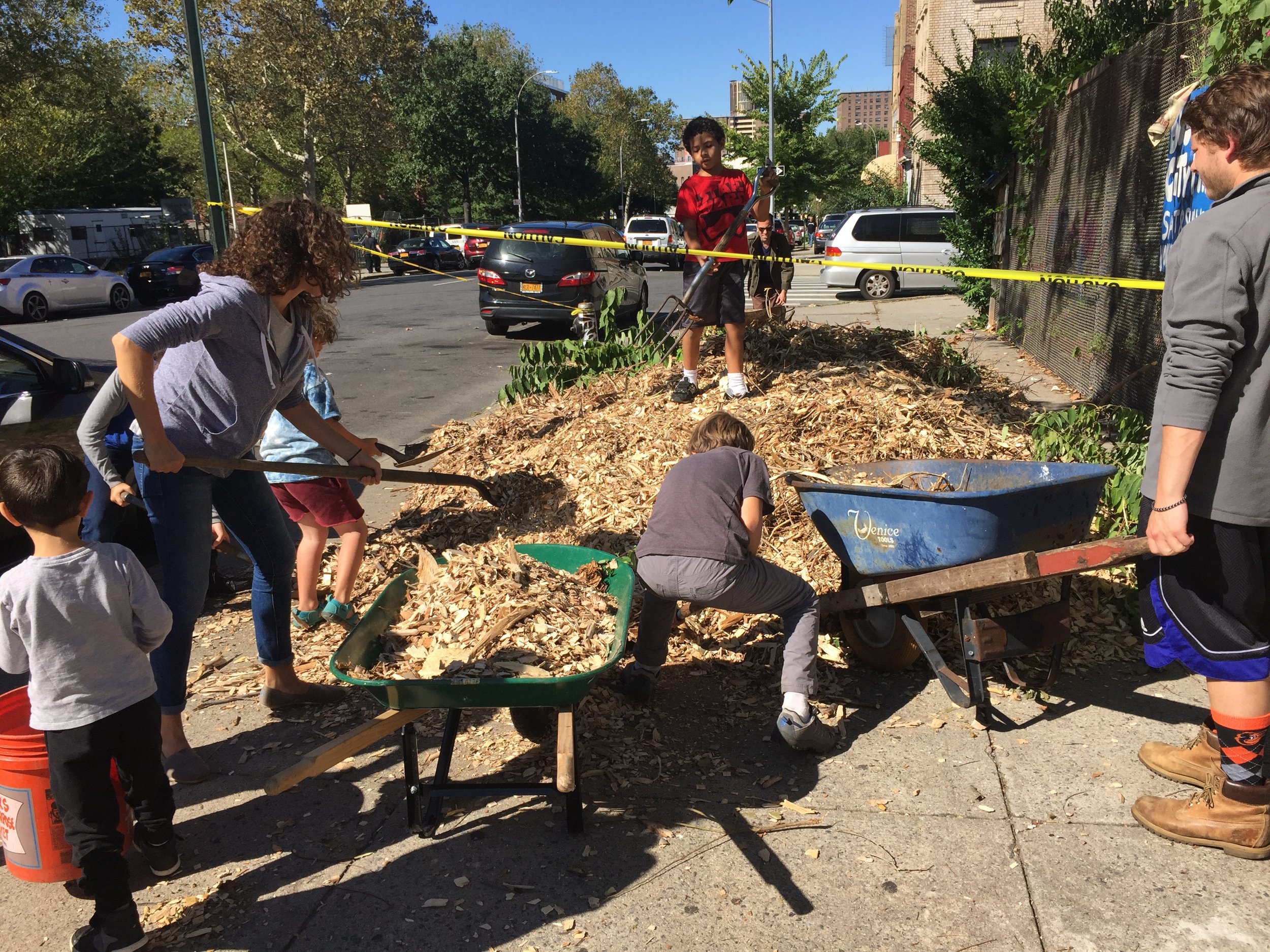 Attacking an enormous mulch pile...