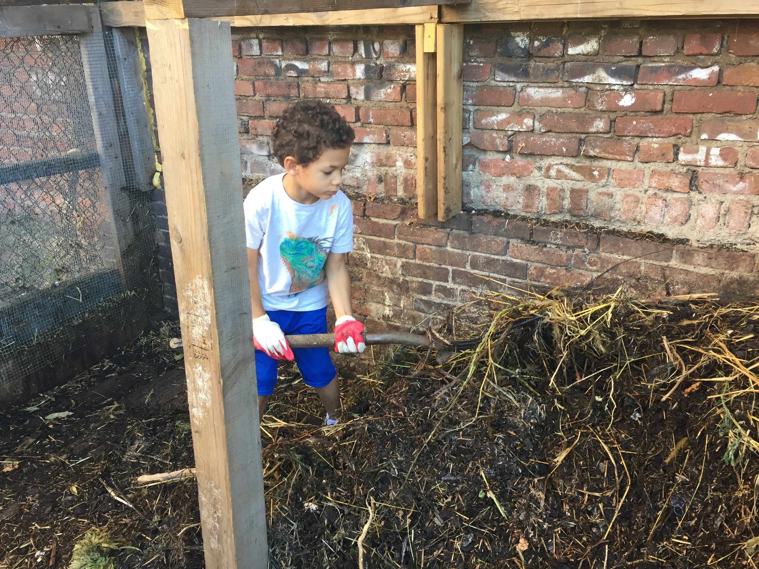 Turning the compost