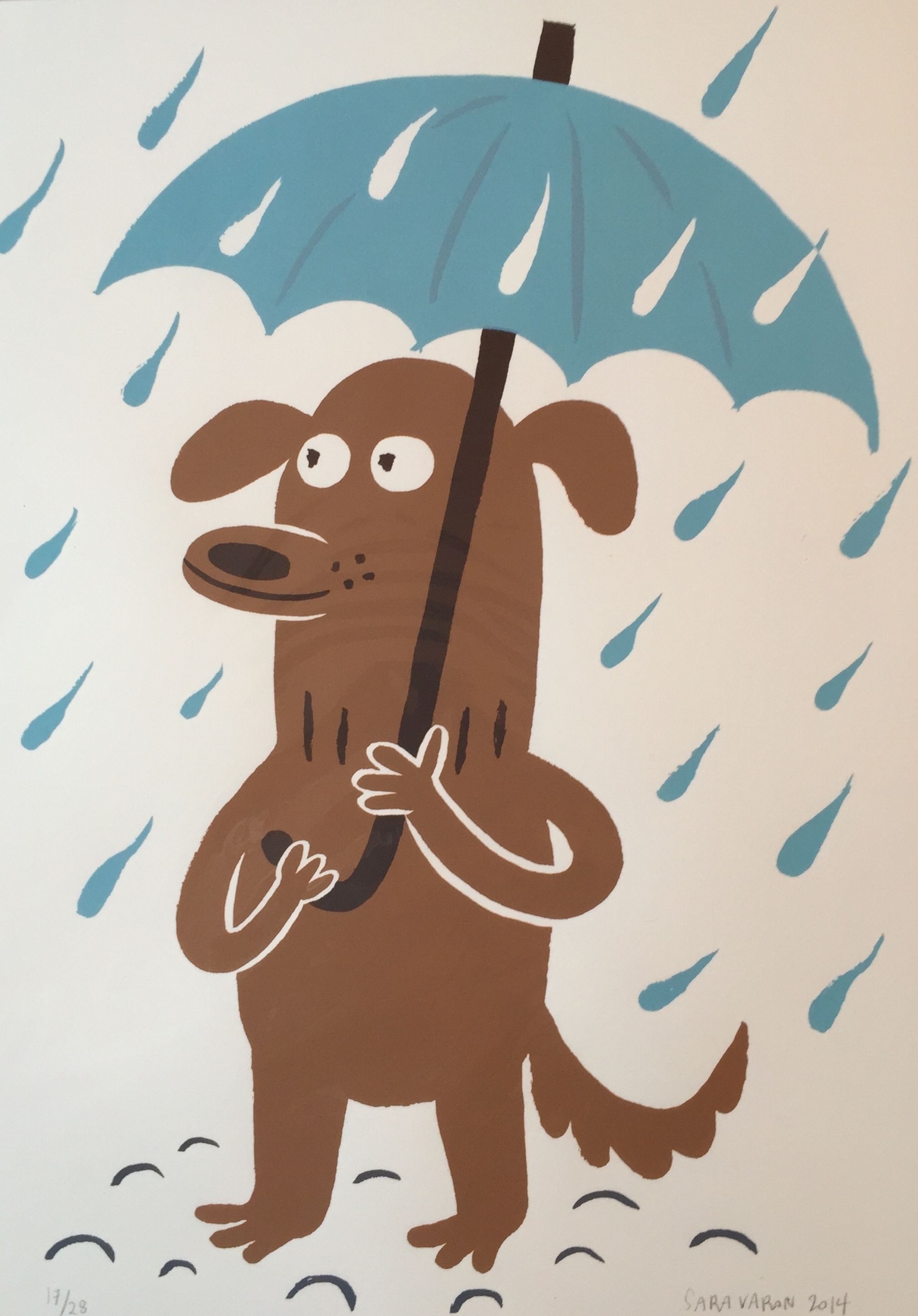 Dog in Rain