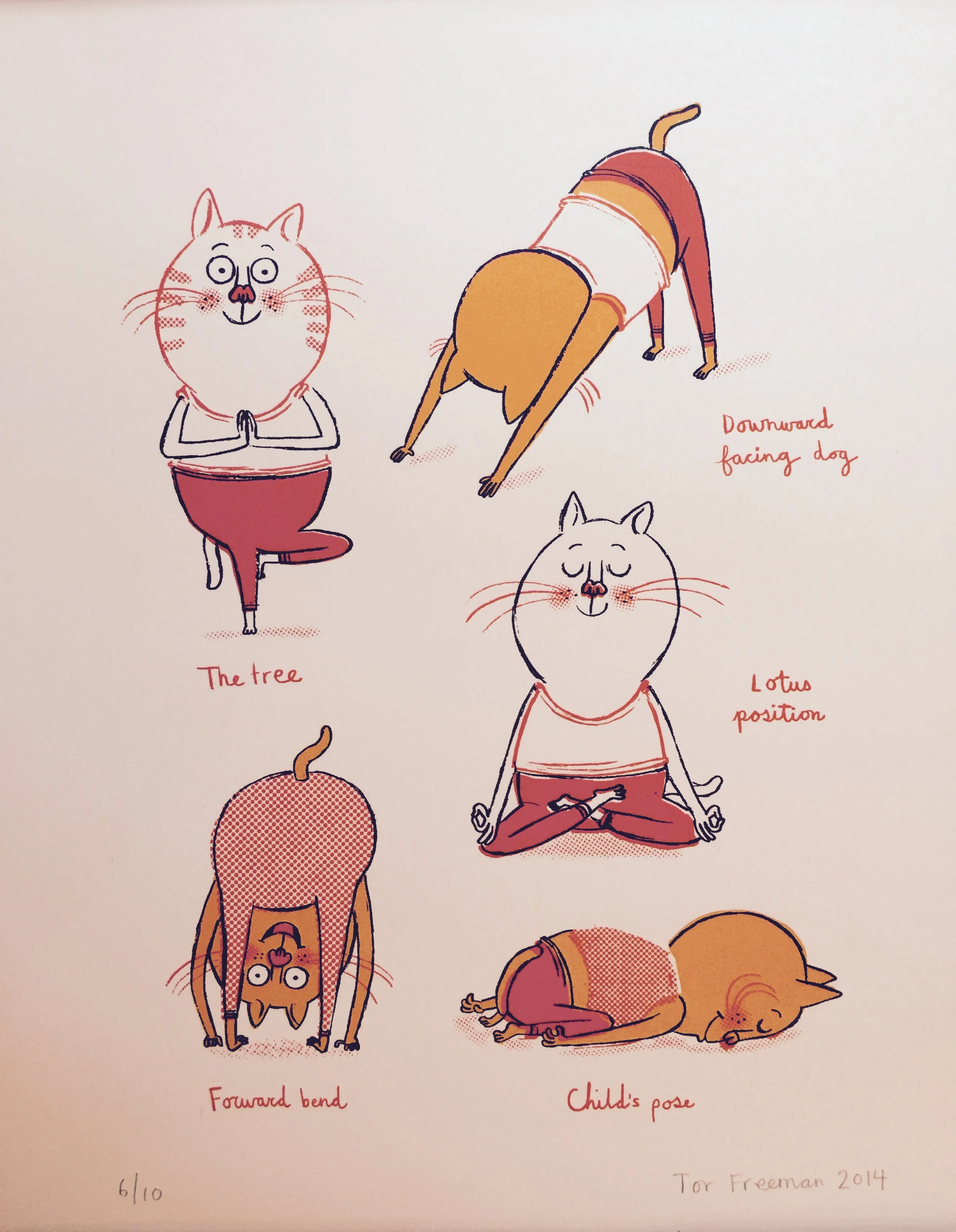 Yoga Cat