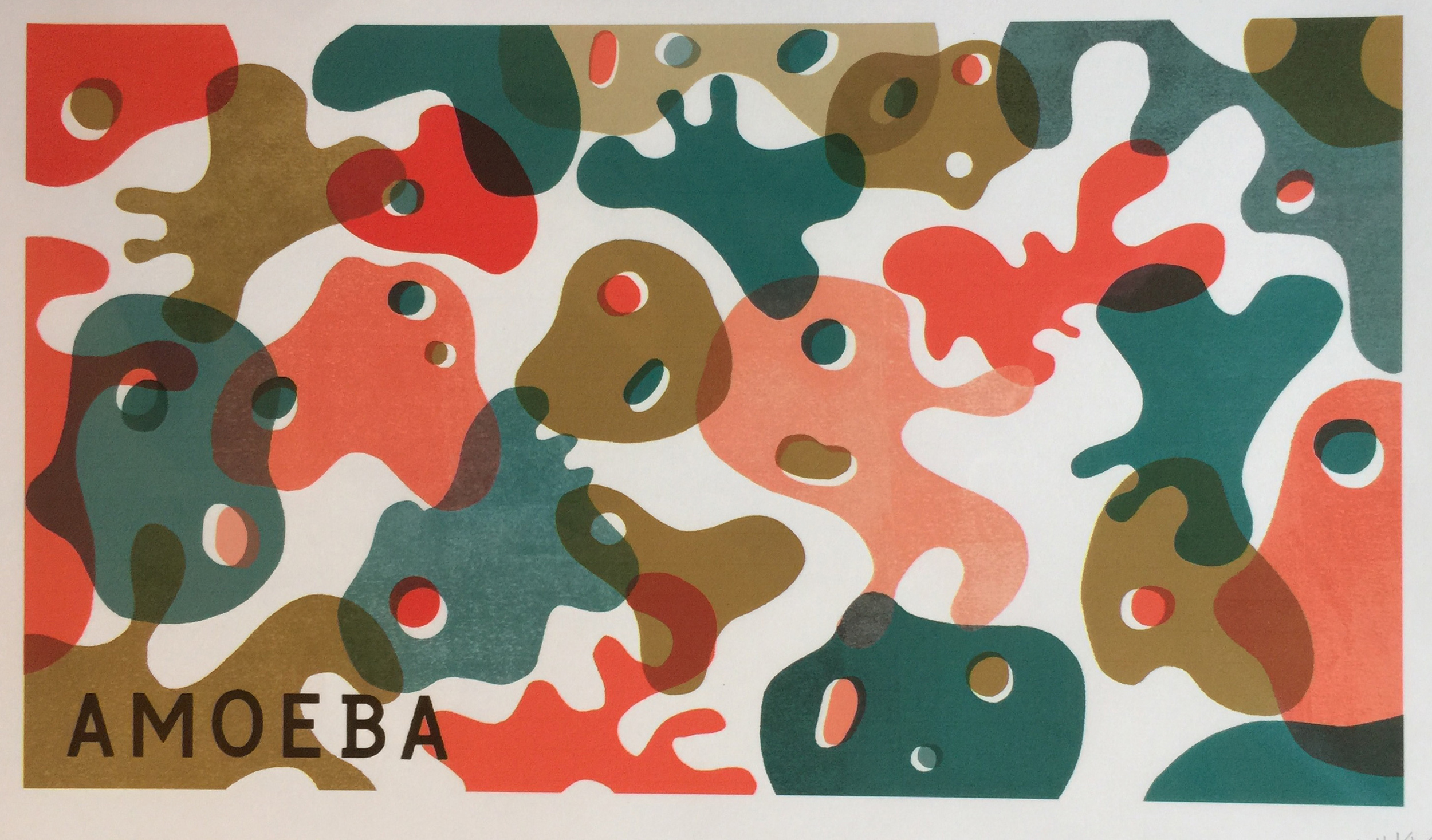 Amoeba