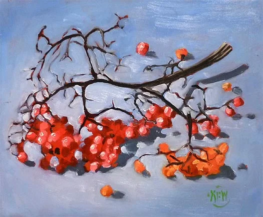 292 - Elderberries - SOLD