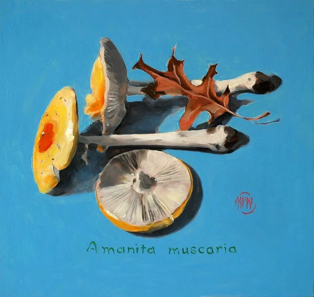 115 Amanita Muscaria<br>SOLD
