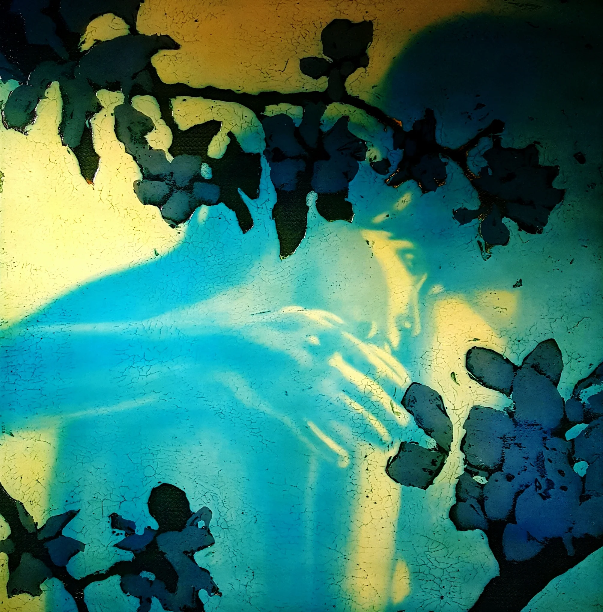 366 Tranquility 40.5" x 40" Oil on wood panel $6,400.