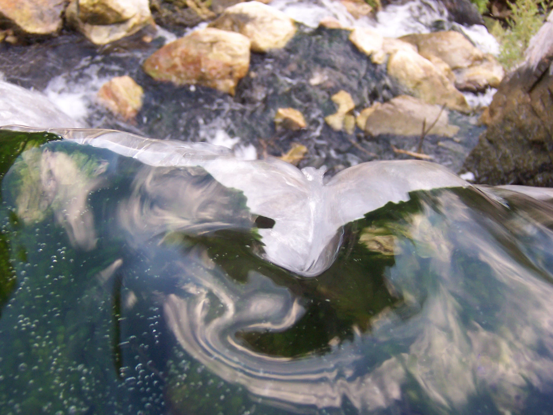 crazywaterfall.jpg