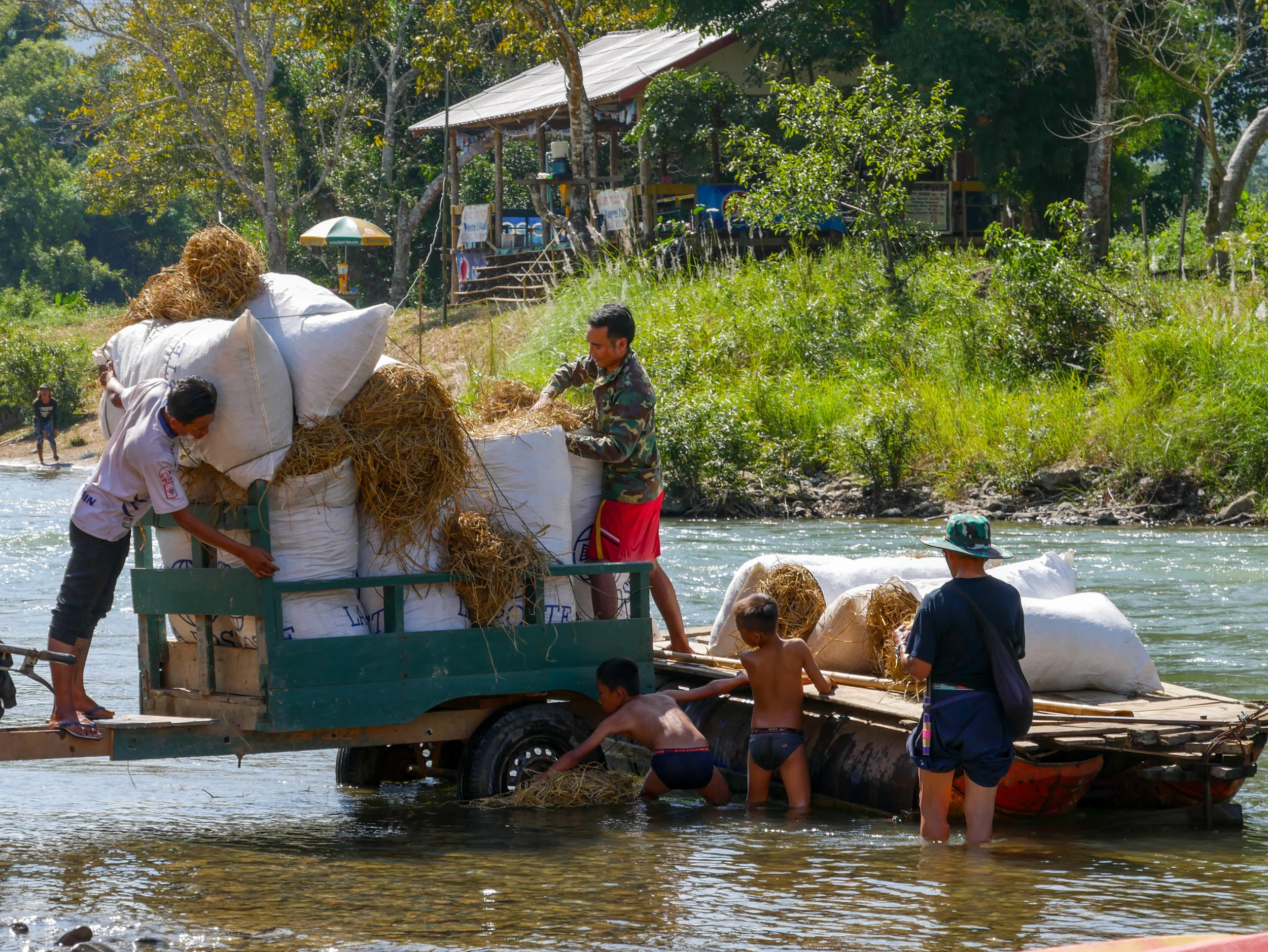 P1000593.jpg