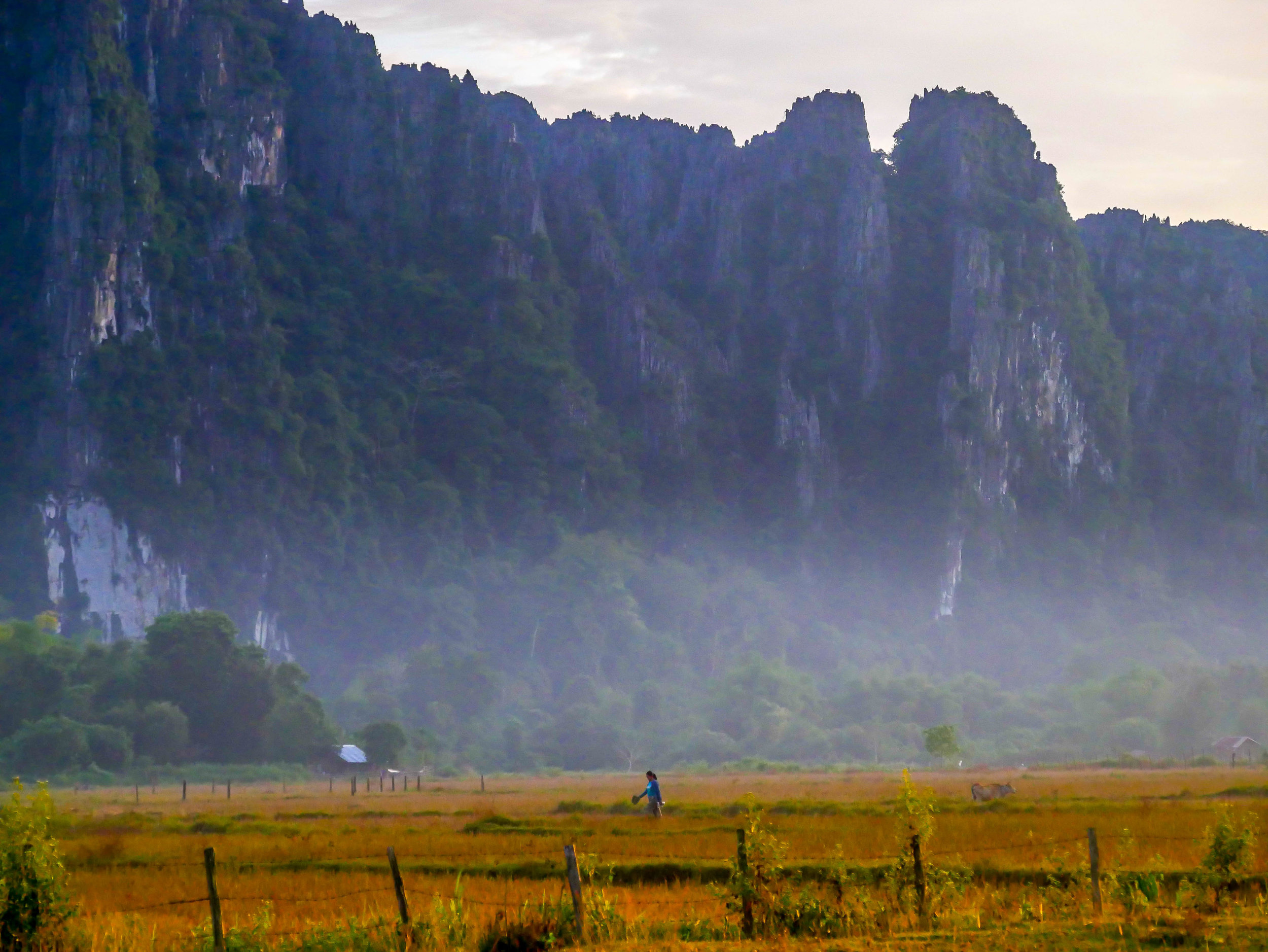 P1000656.jpg