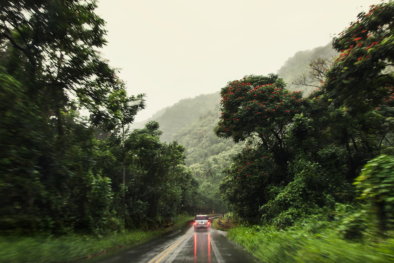 car-braeking-in-the-rain-on-the-road-t0-hana-on-maui-travel-photographer.jpg