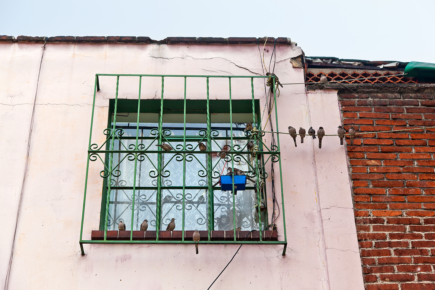 birds on a wire mexico city houses.jpg