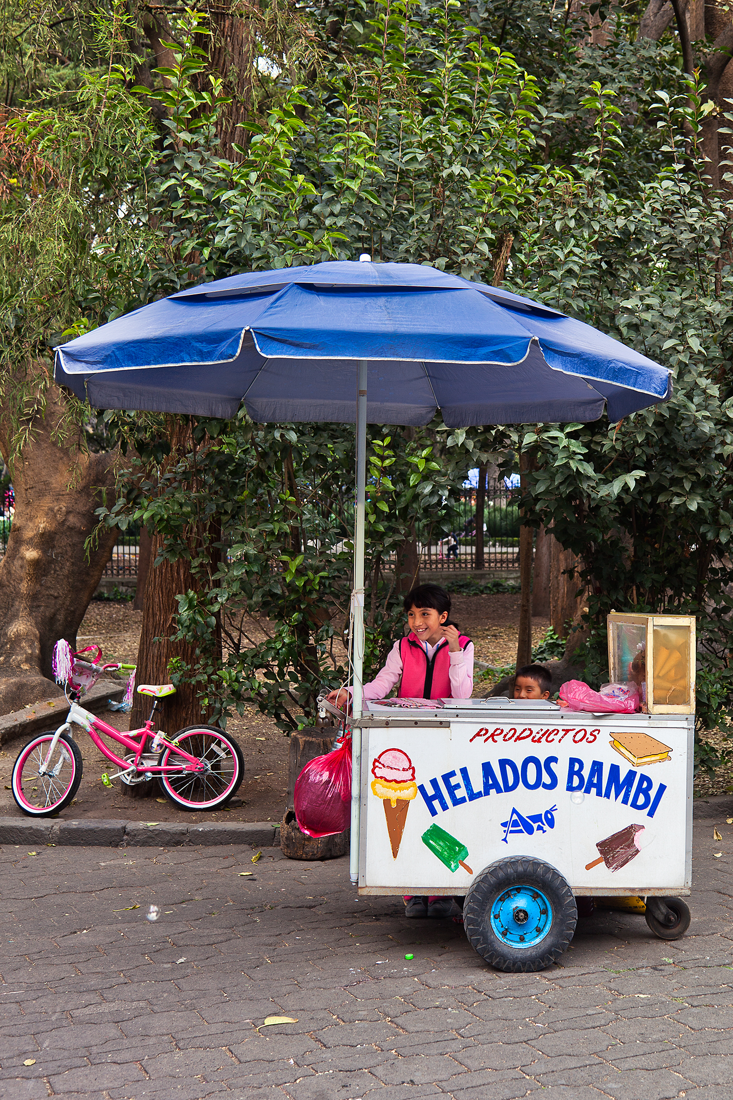 productos helados bambi chapultepec park mexico city mx.jpg