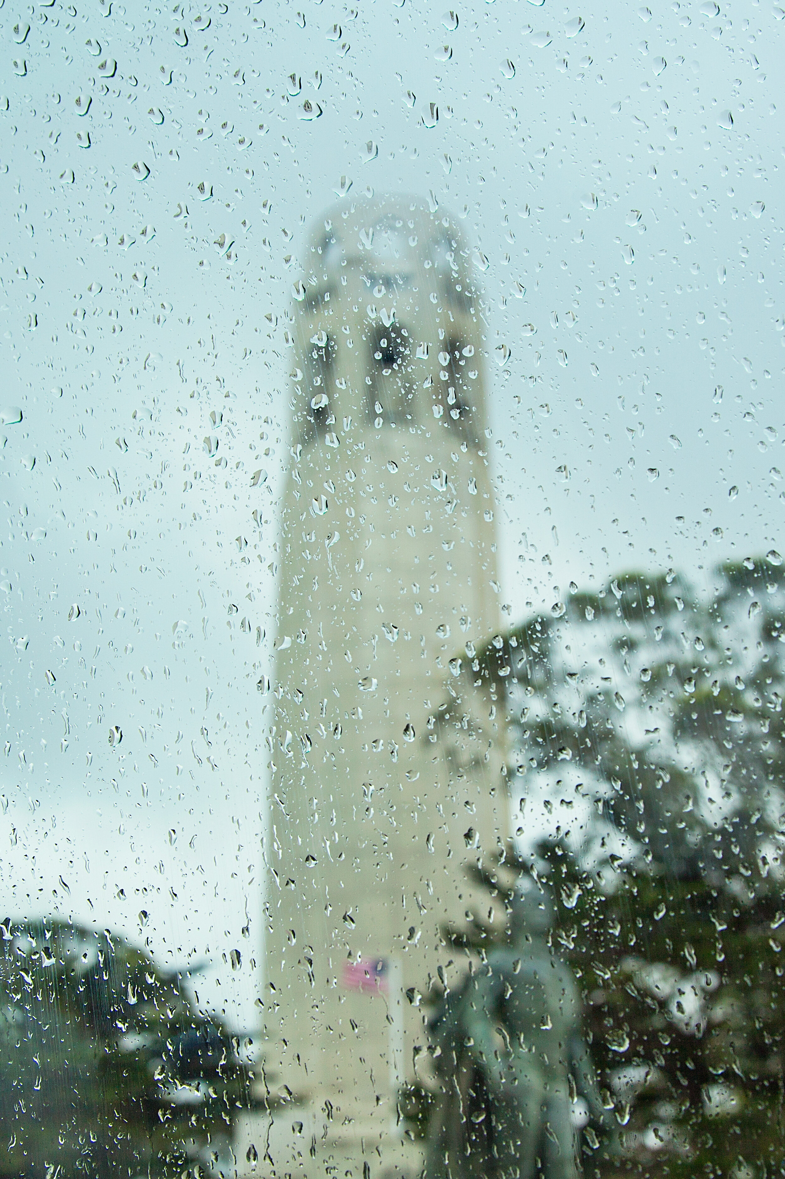 20190210-rainy-coit-vertical.jpg