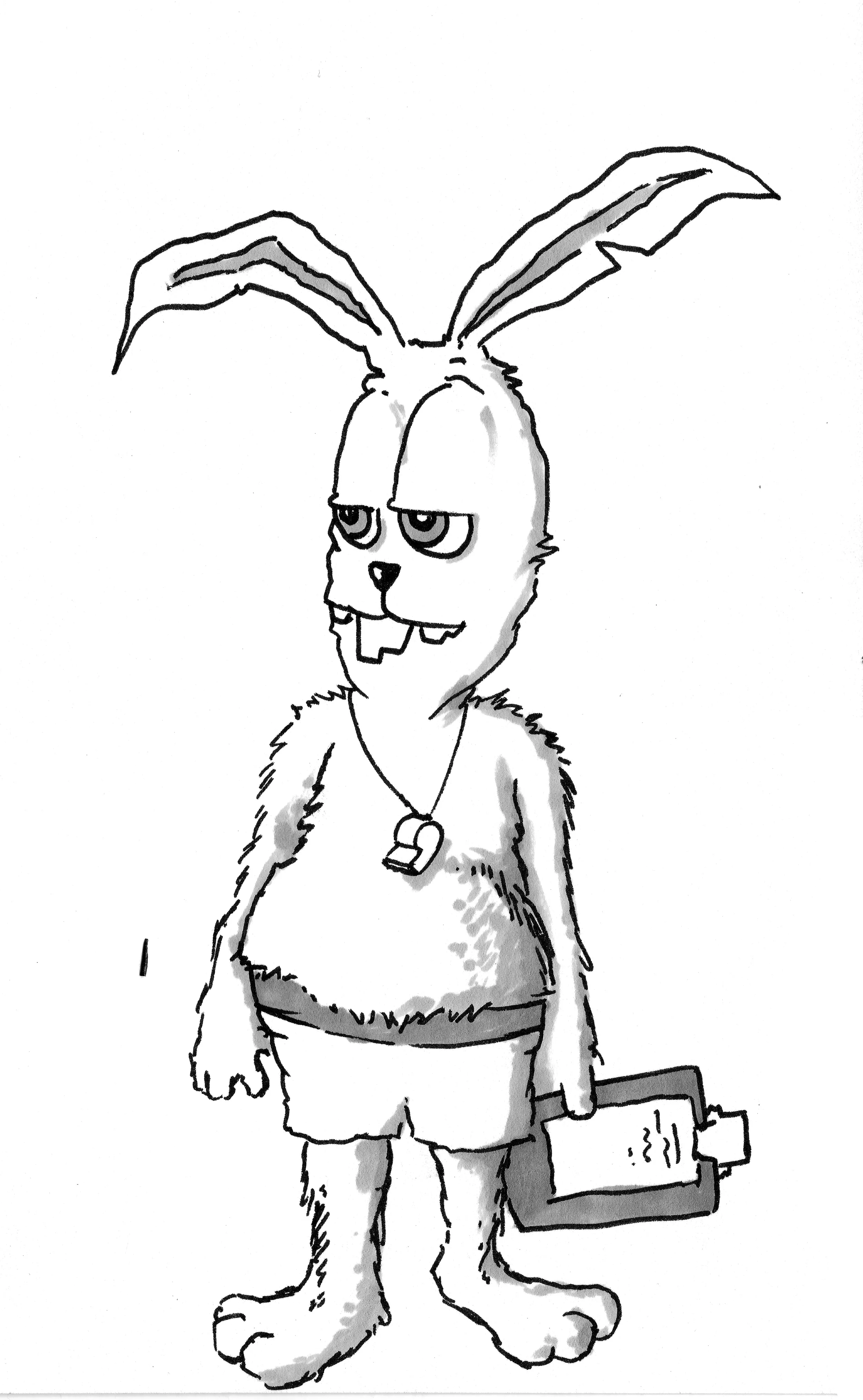 Bunny Coach