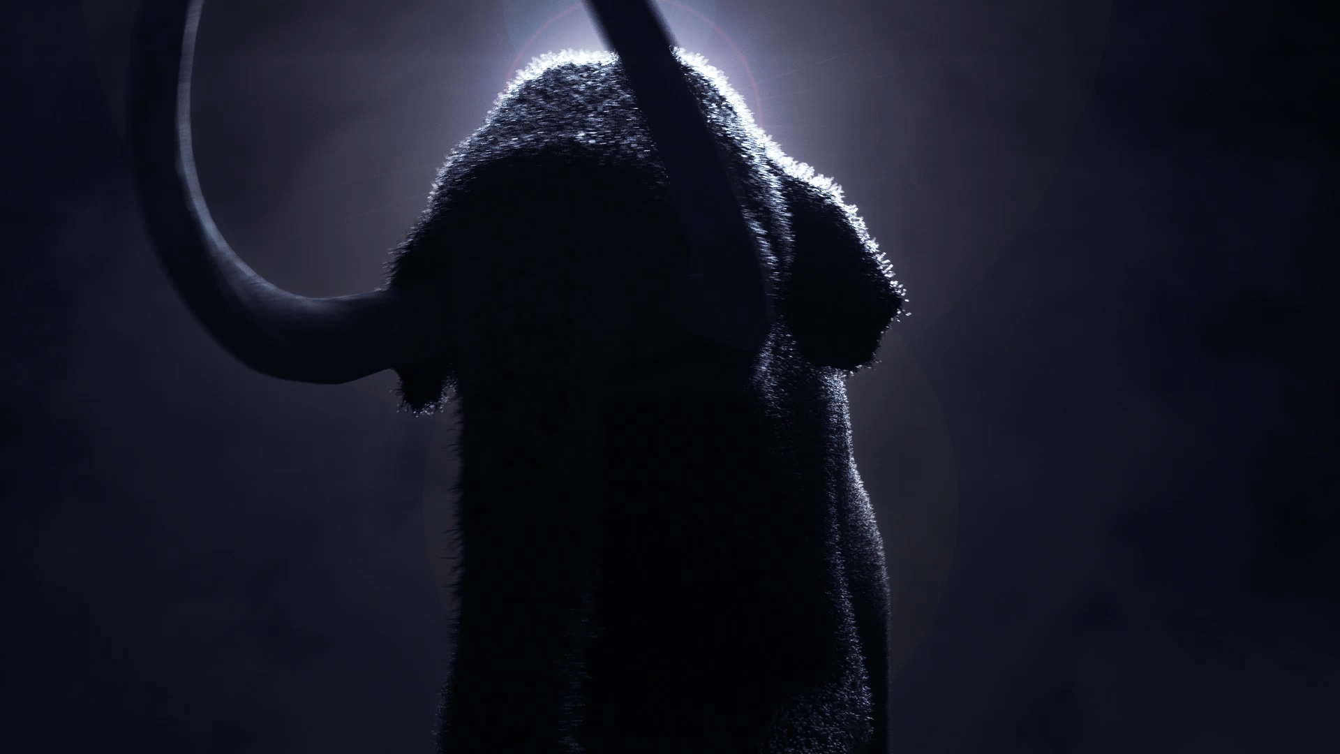 wooli_shot_01.png
