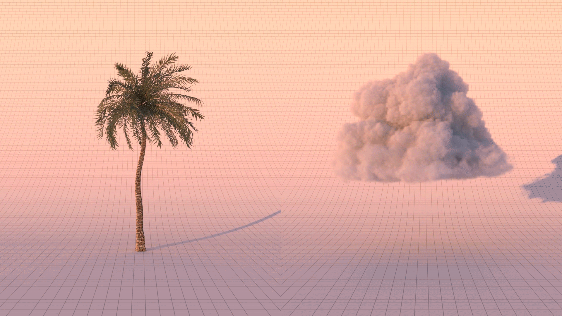 a3124579160043.5cd0b6d7e2605.gif