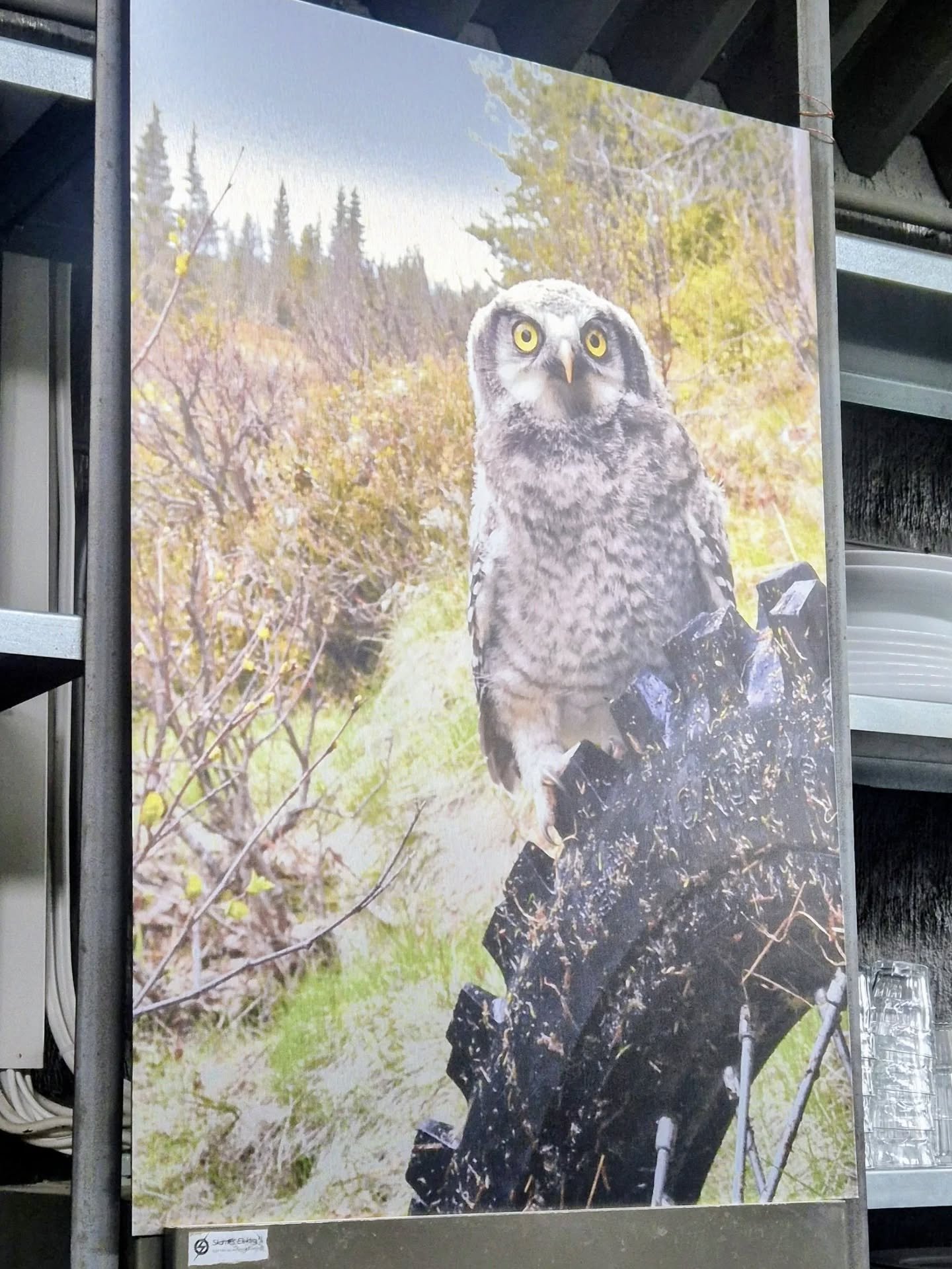 Fra tidligere har vi hatt samarbeid med ulike galleri og kunstnere. Lokale og rundt om i landet. Vi tror at maten smaker litt bedre med nettopp litt visuell magi! ✨️

Mat i hyggelig selskap, med seg selv eller andre i lun og varm atmosf&aelig;re! ❤️
