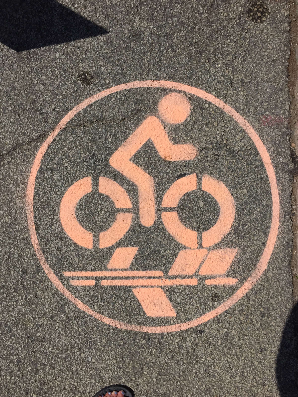 bike lane stencil | nature meets city