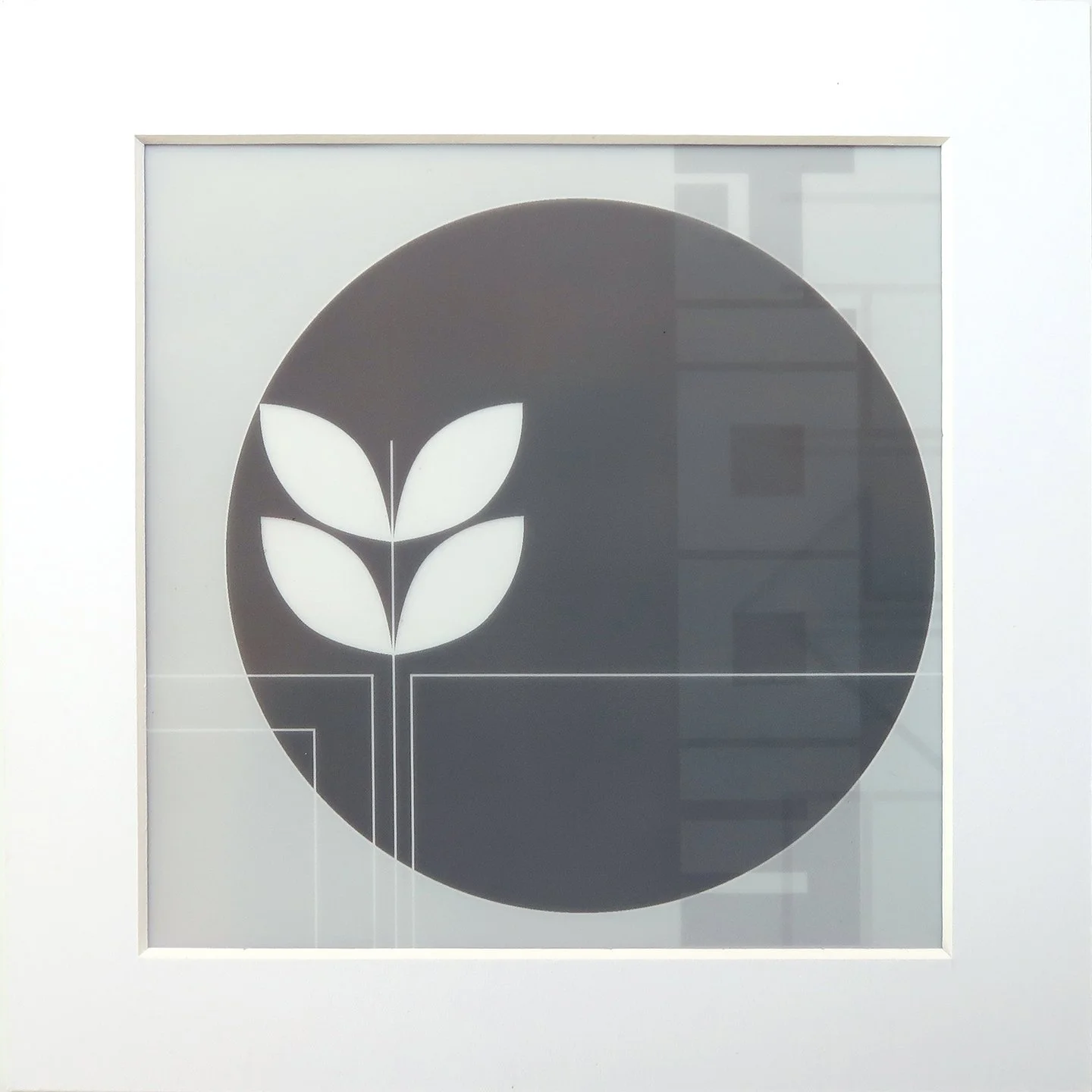 E5.4 bloom gray crop.jpg