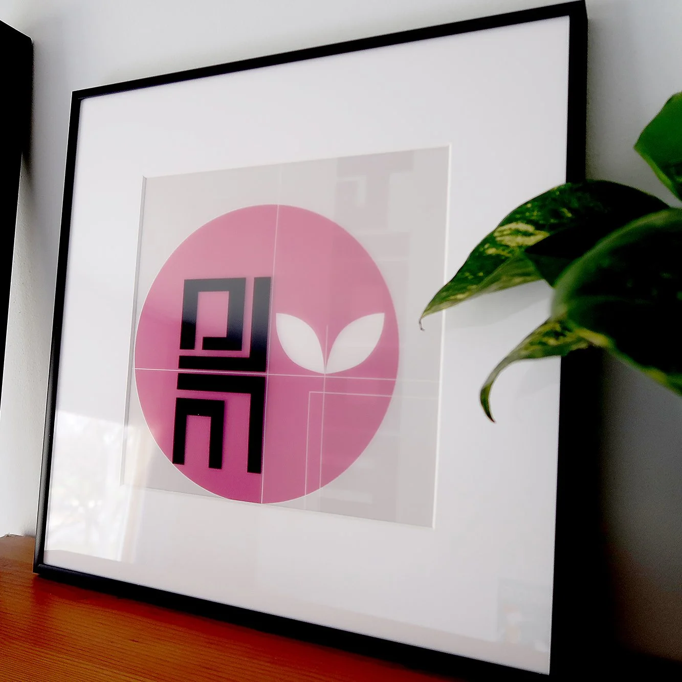 E5.1 shelfie angle_9223 SQ WEB.jpg