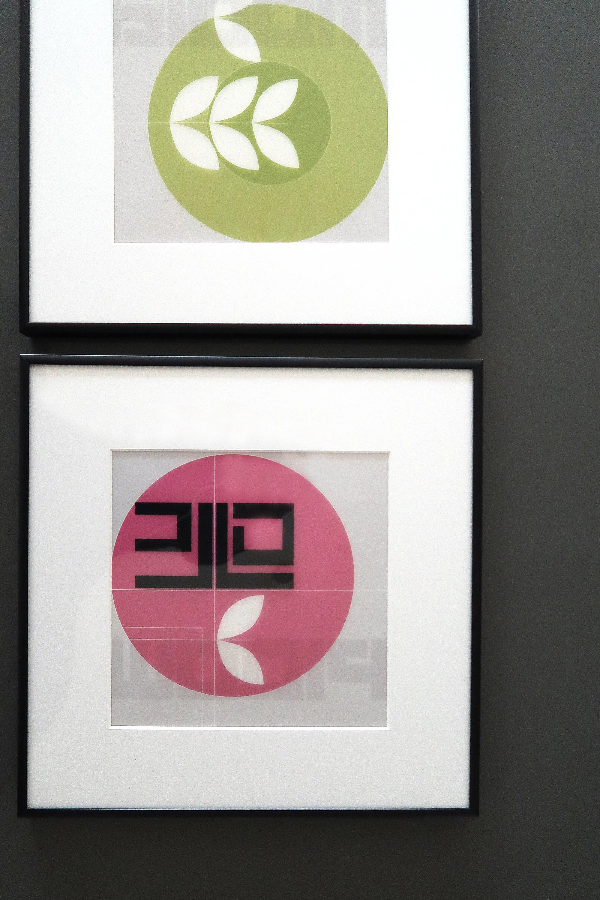 multi flat lay_9209 WEB.jpg