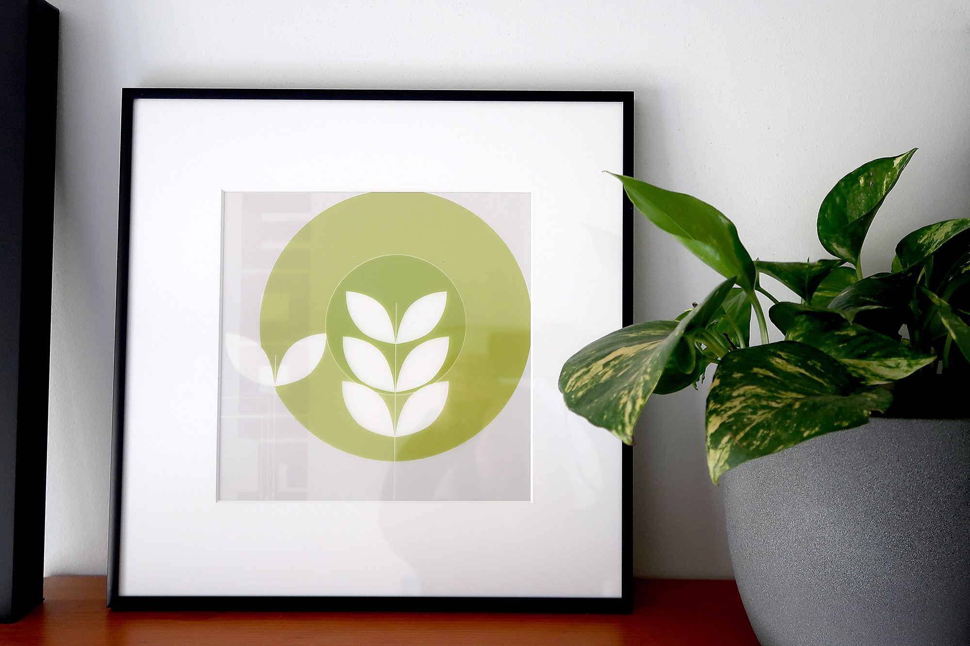 E5.3 shelfie_9220 WEB.jpg