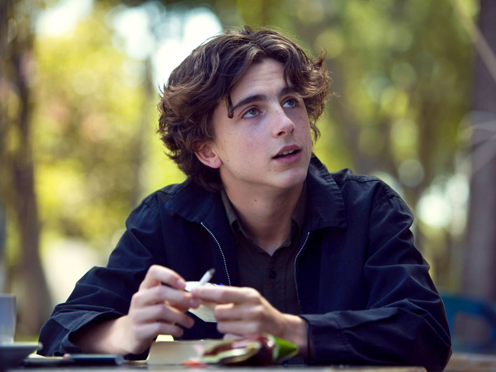 lady-bird-timothee-chalamet.jpeg