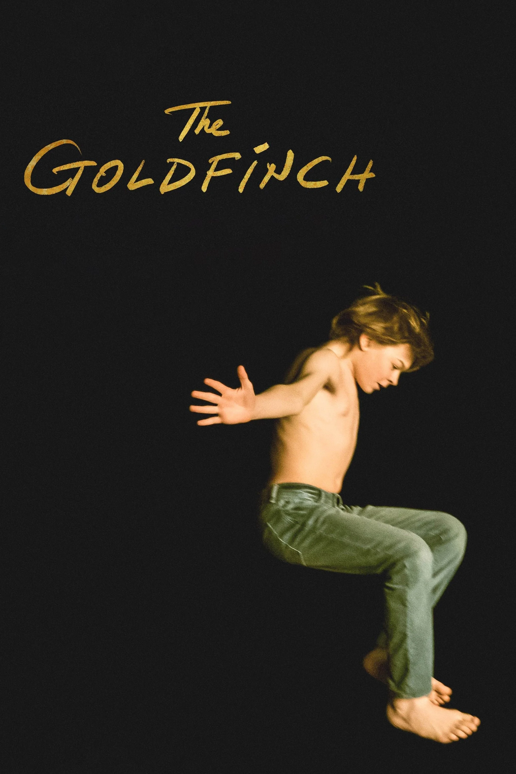 goldfinchcover2.jpeg