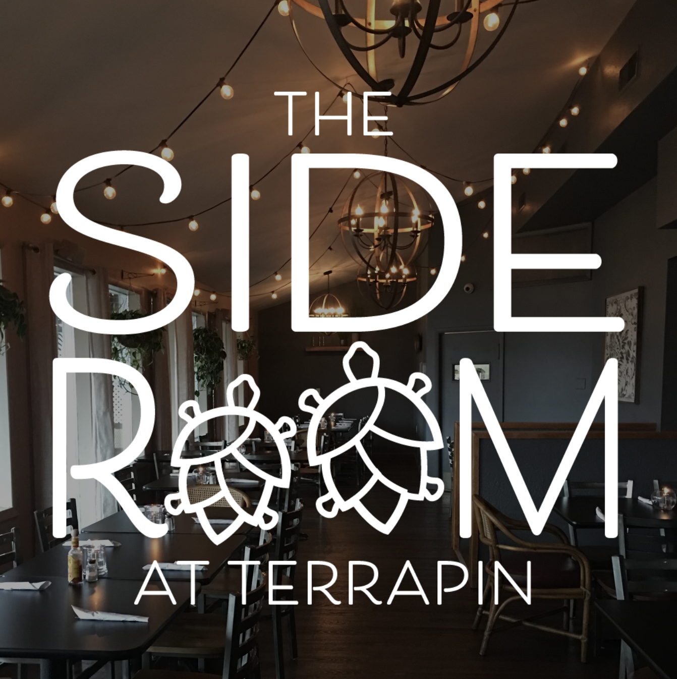 The Side Room at Terrapin