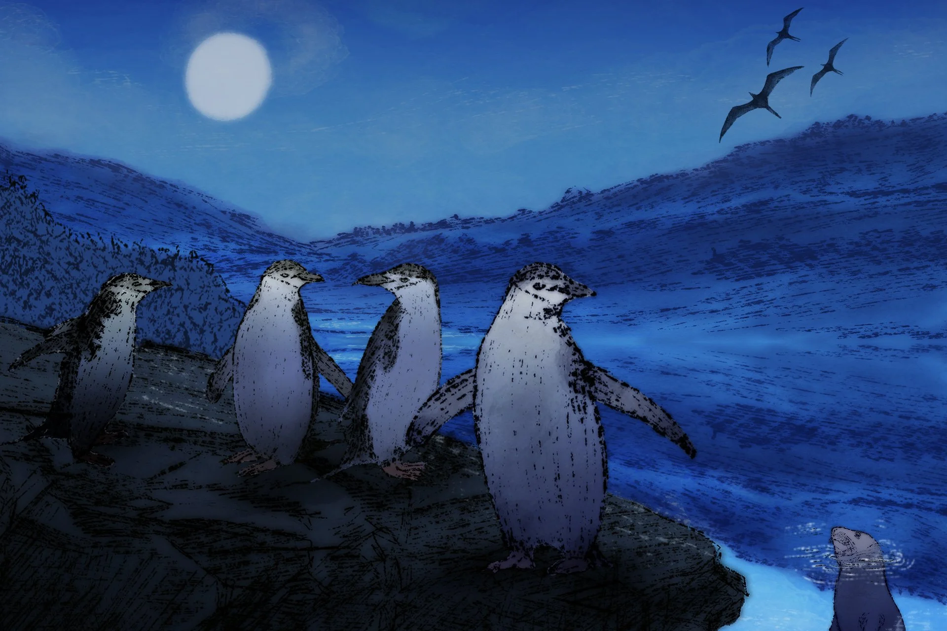 SCI--Extreme Animal Sleep-header.jpg