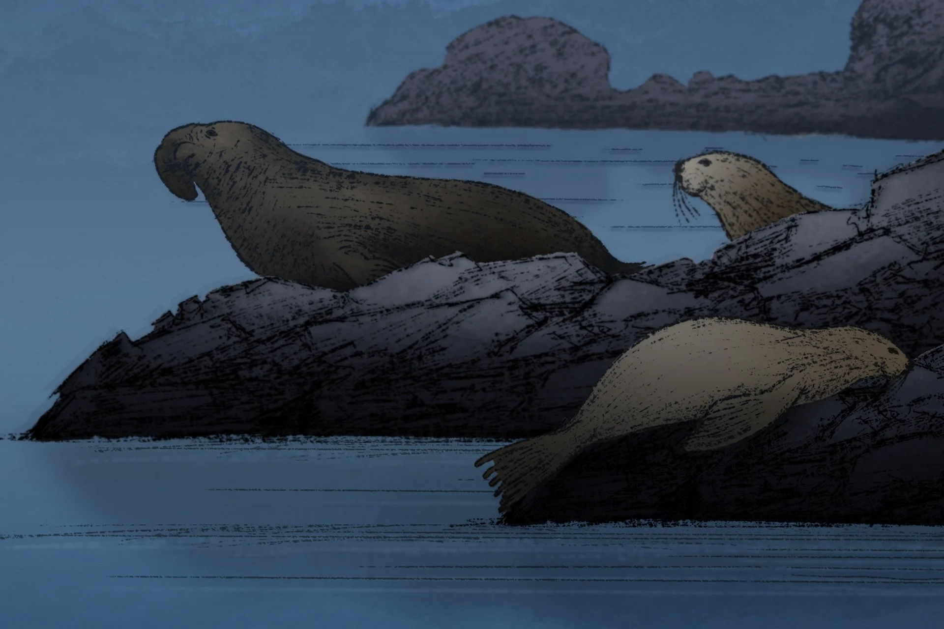 SCI--Extreme Animal Sleep-elephant-seal.jpg
